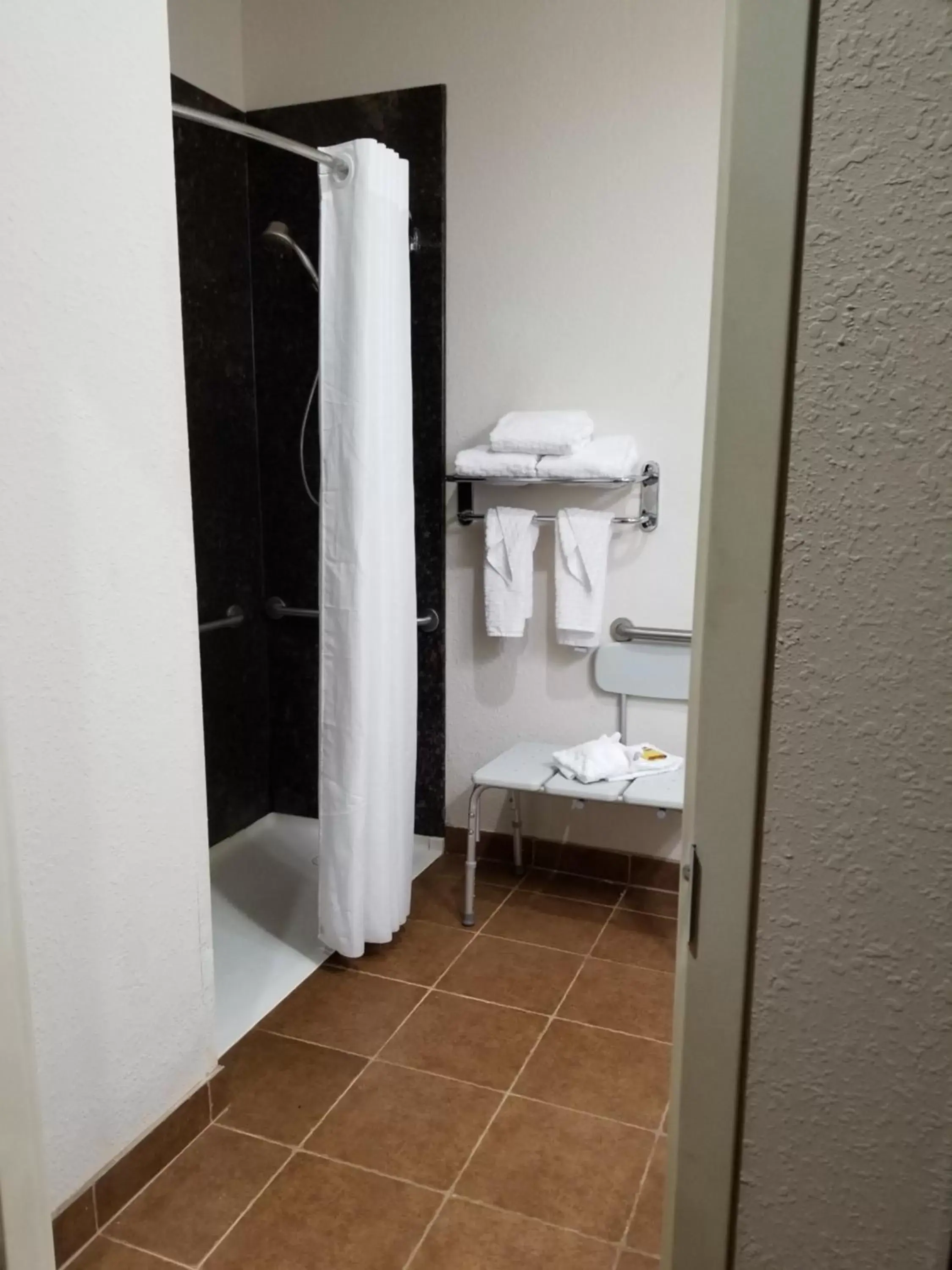 Bathroom in Best Western Plus Greenville South