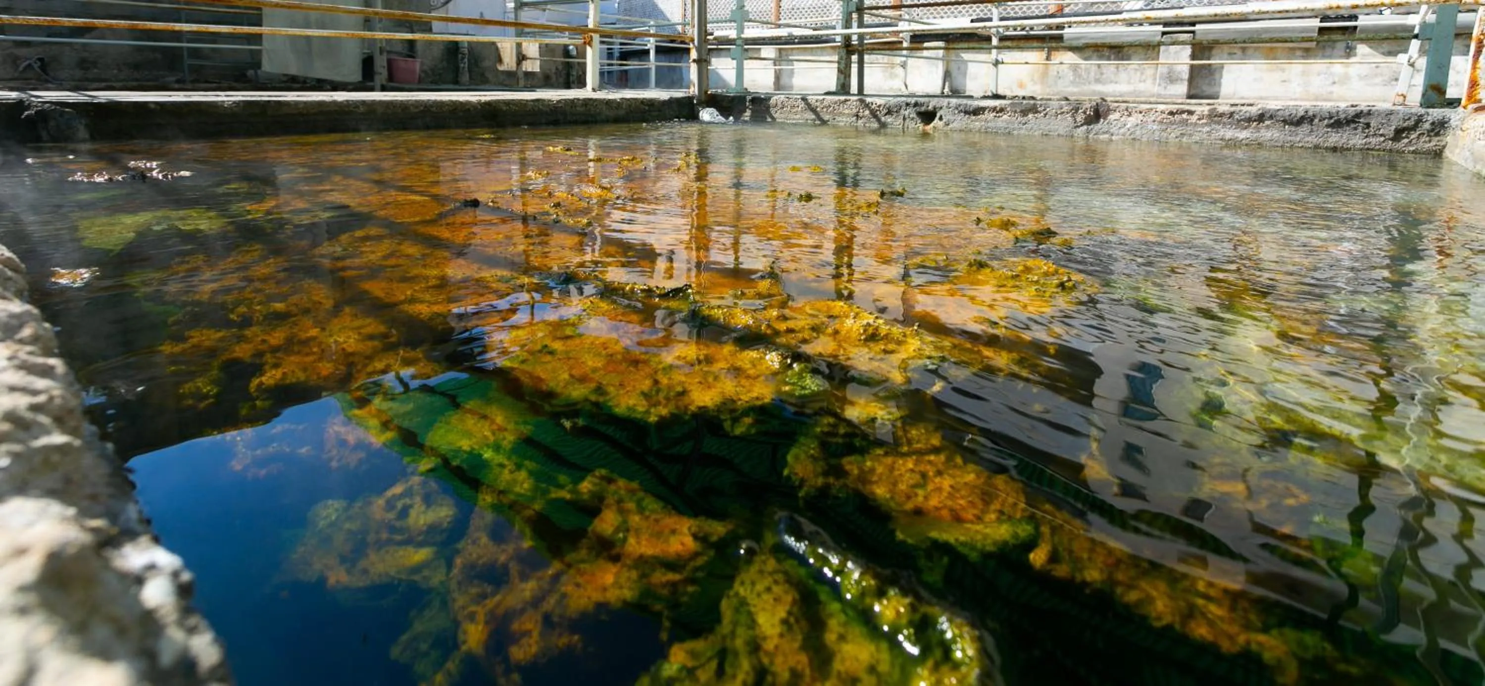 Spa and wellness centre/facilities in Hotel Quisisana Terme