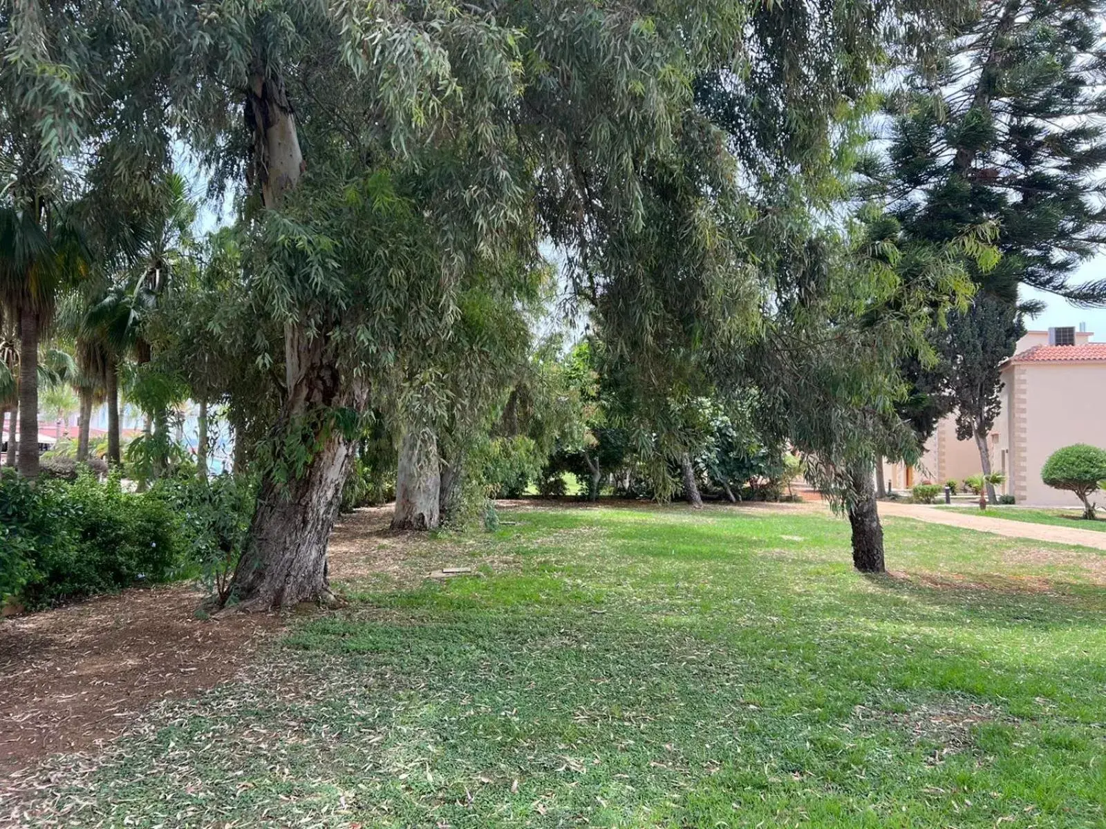 Garden in Anmaria Beach Hotel & Spa