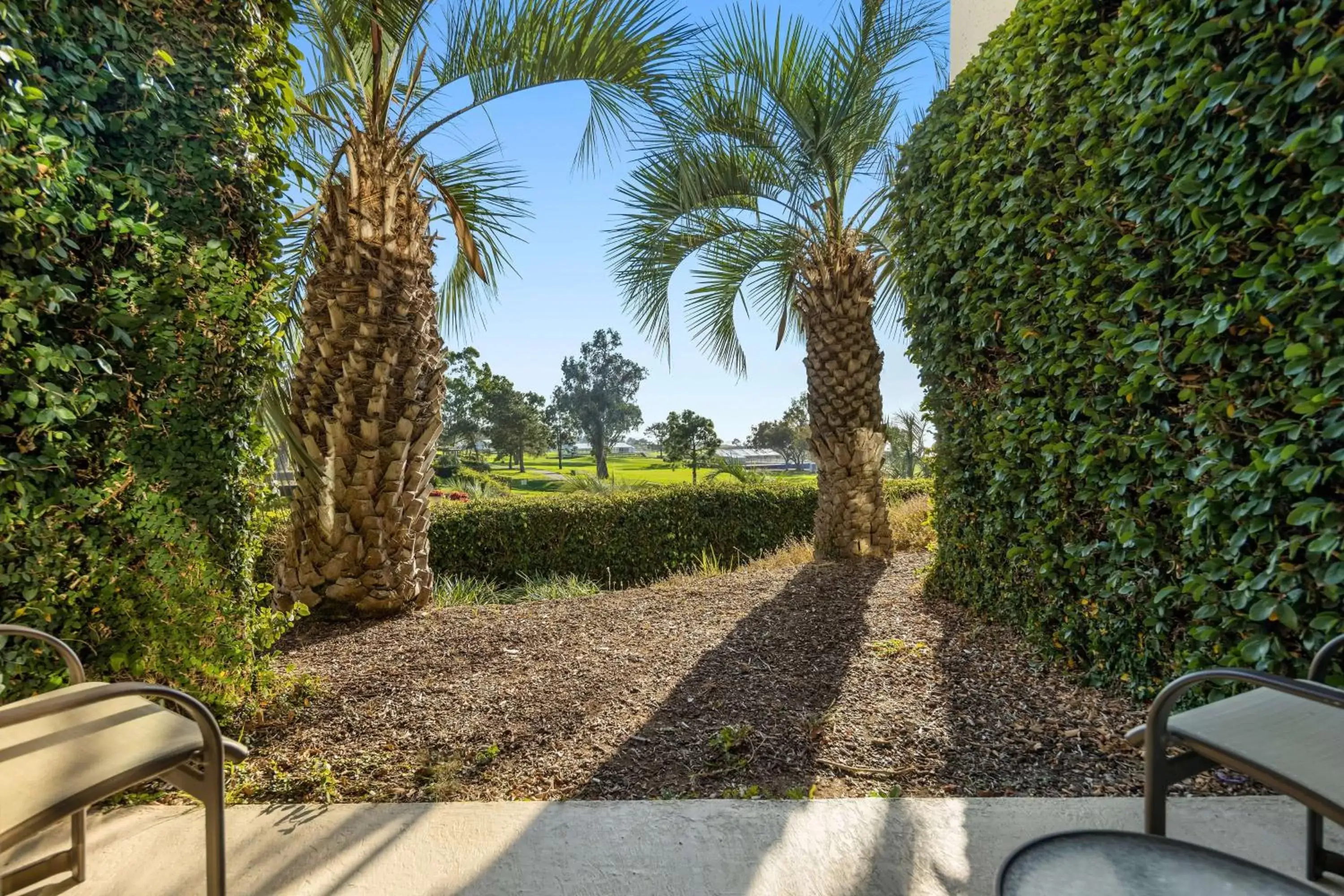 View (from property/room) in Hilton La Jolla Torrey Pines