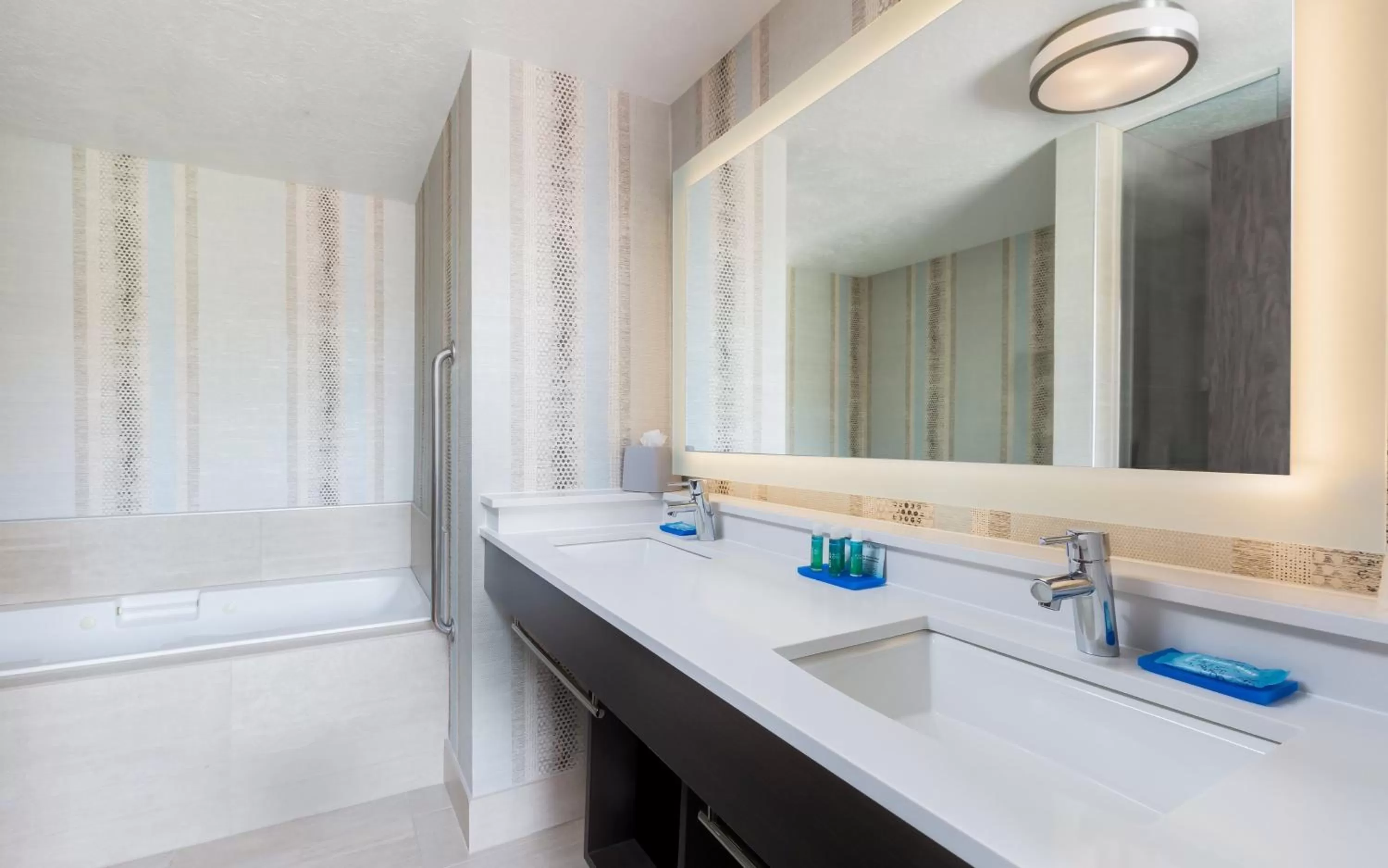 Bathroom in Holiday Inn Express Hotel & Suites Eugene Downtown - University by IHG