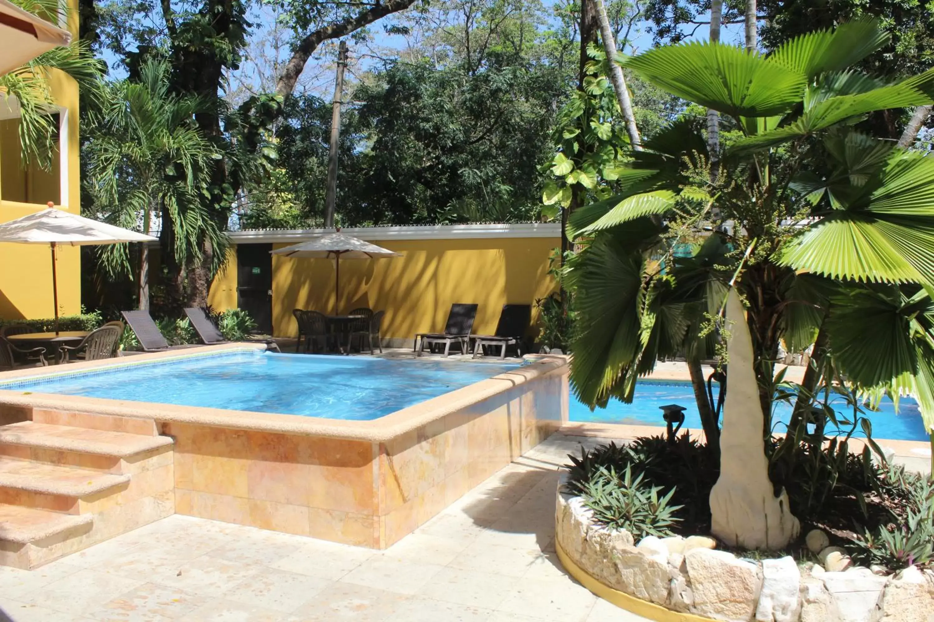 Garden, Swimming Pool in Hotel Chablis Palenque