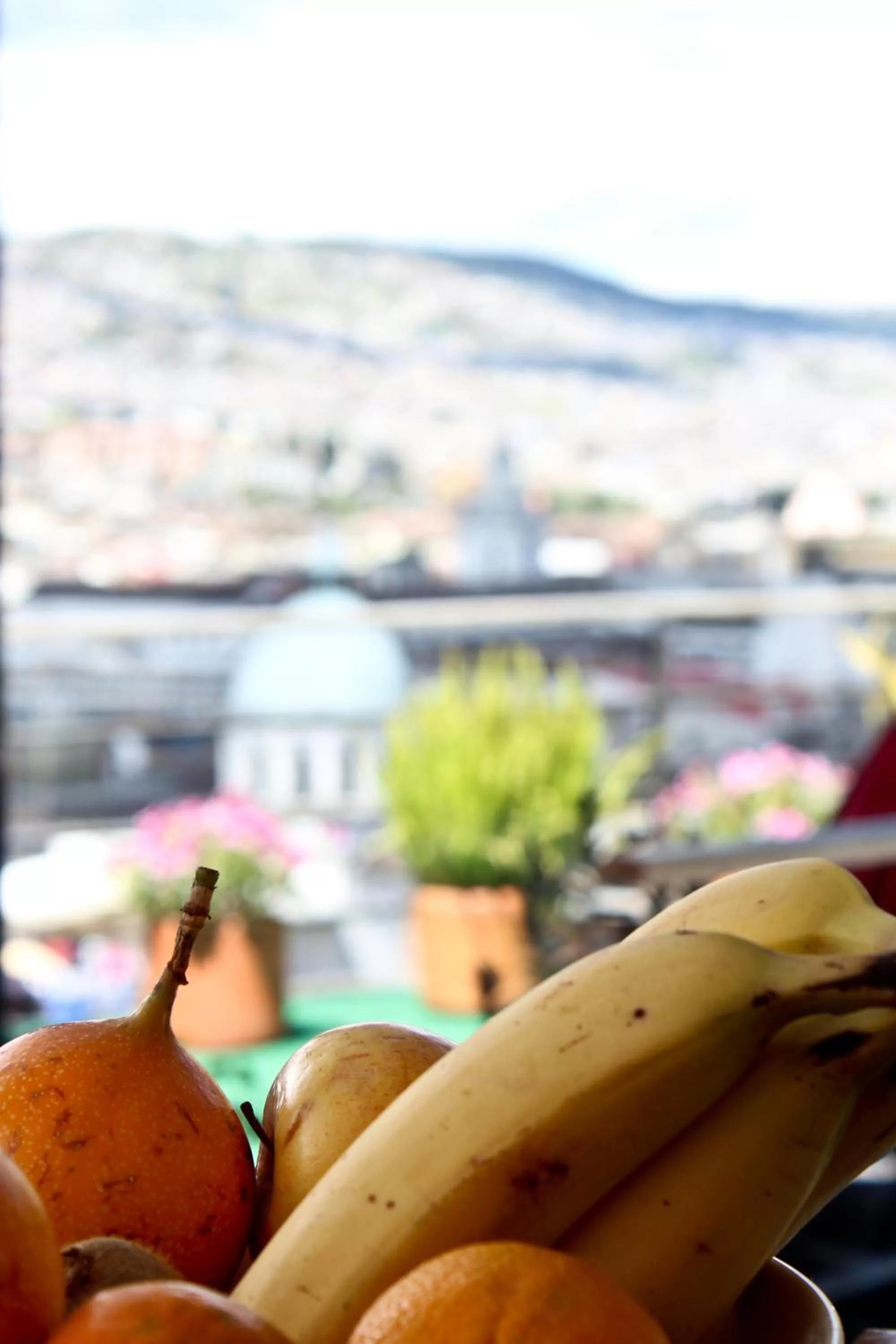 Food and drinks in Hotel Casa Gardenia