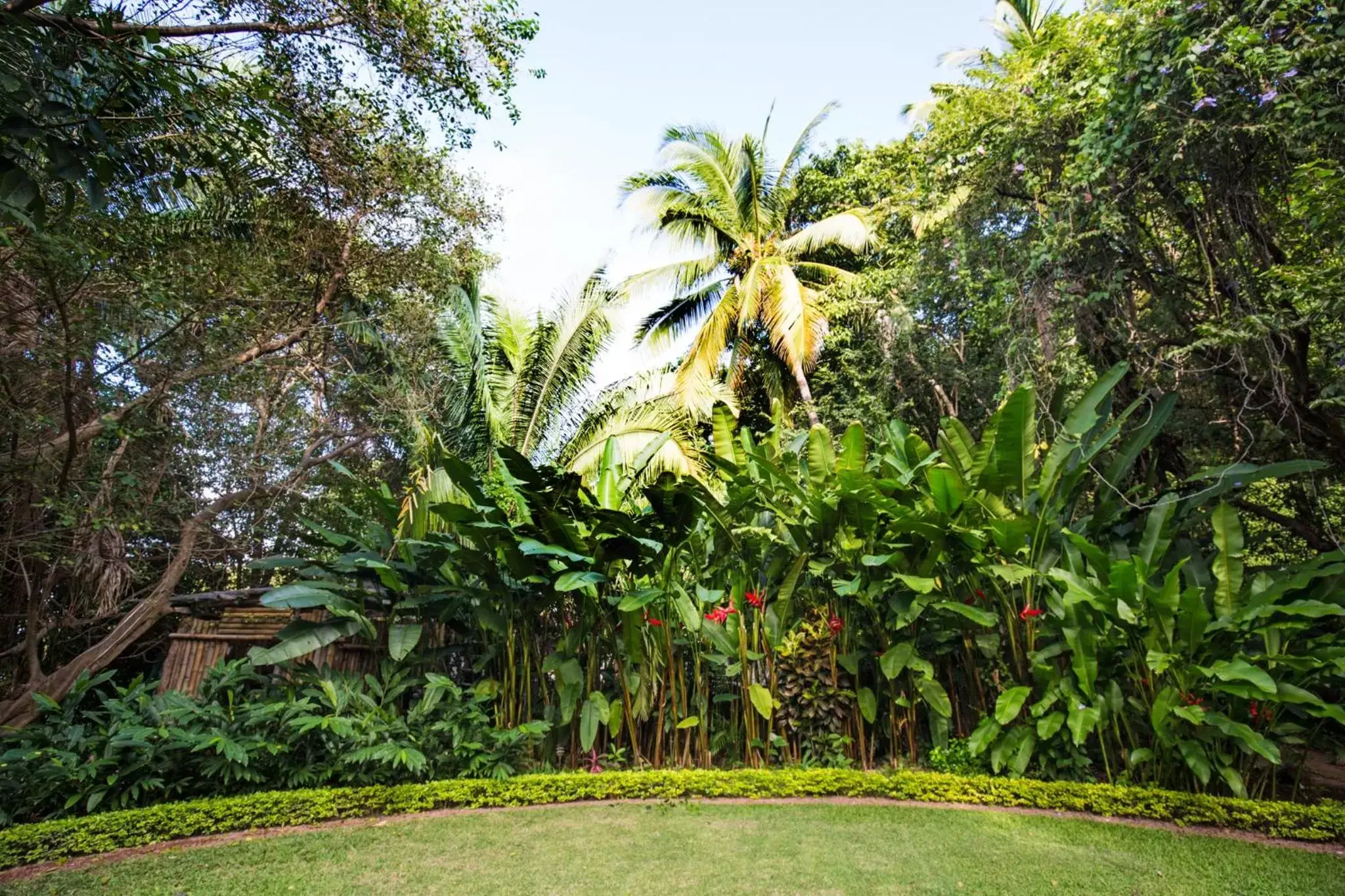 Natural landscape, Garden in Villa Lala Boutique Hotel Adults Only