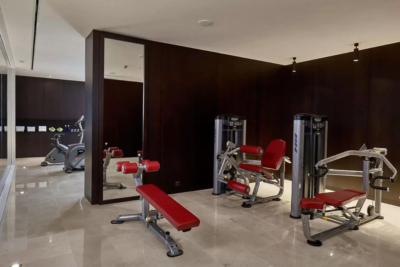 Fitness centre/facilities, Fitness Center/Facilities in Hotel Fernando III