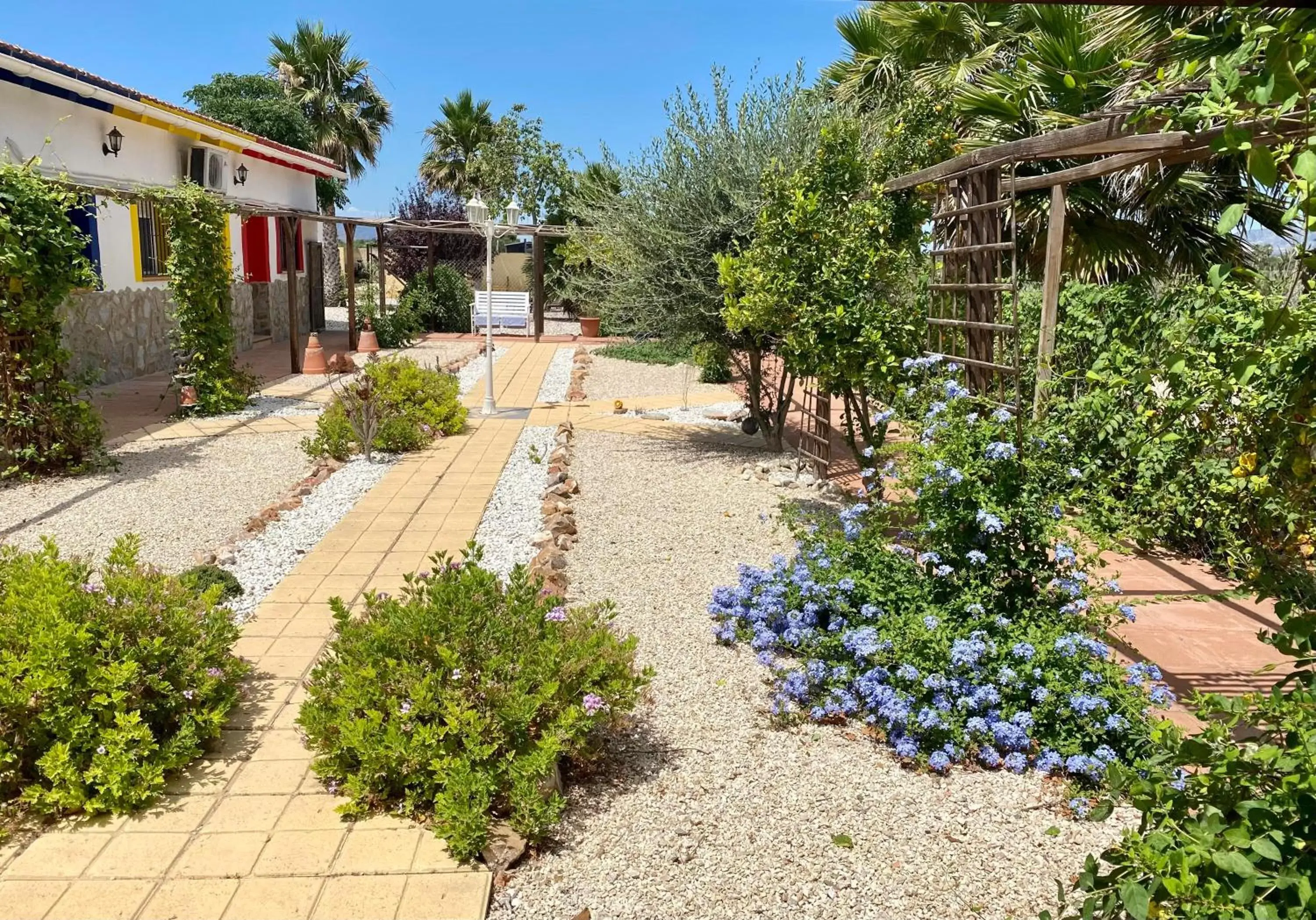 Garden, Property Building in B&B Casa Azul