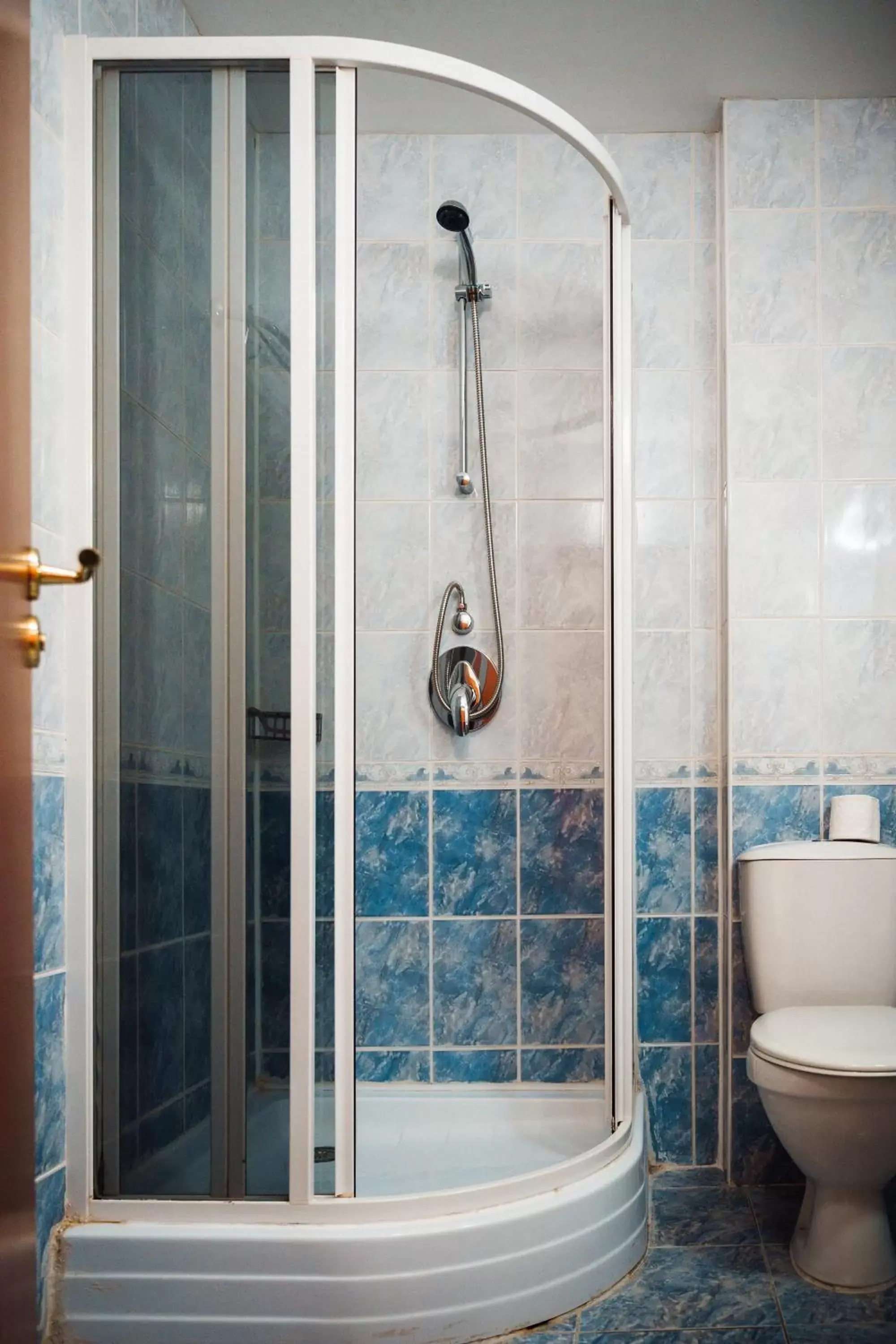 Shower, Bathroom in Dionis Hotel