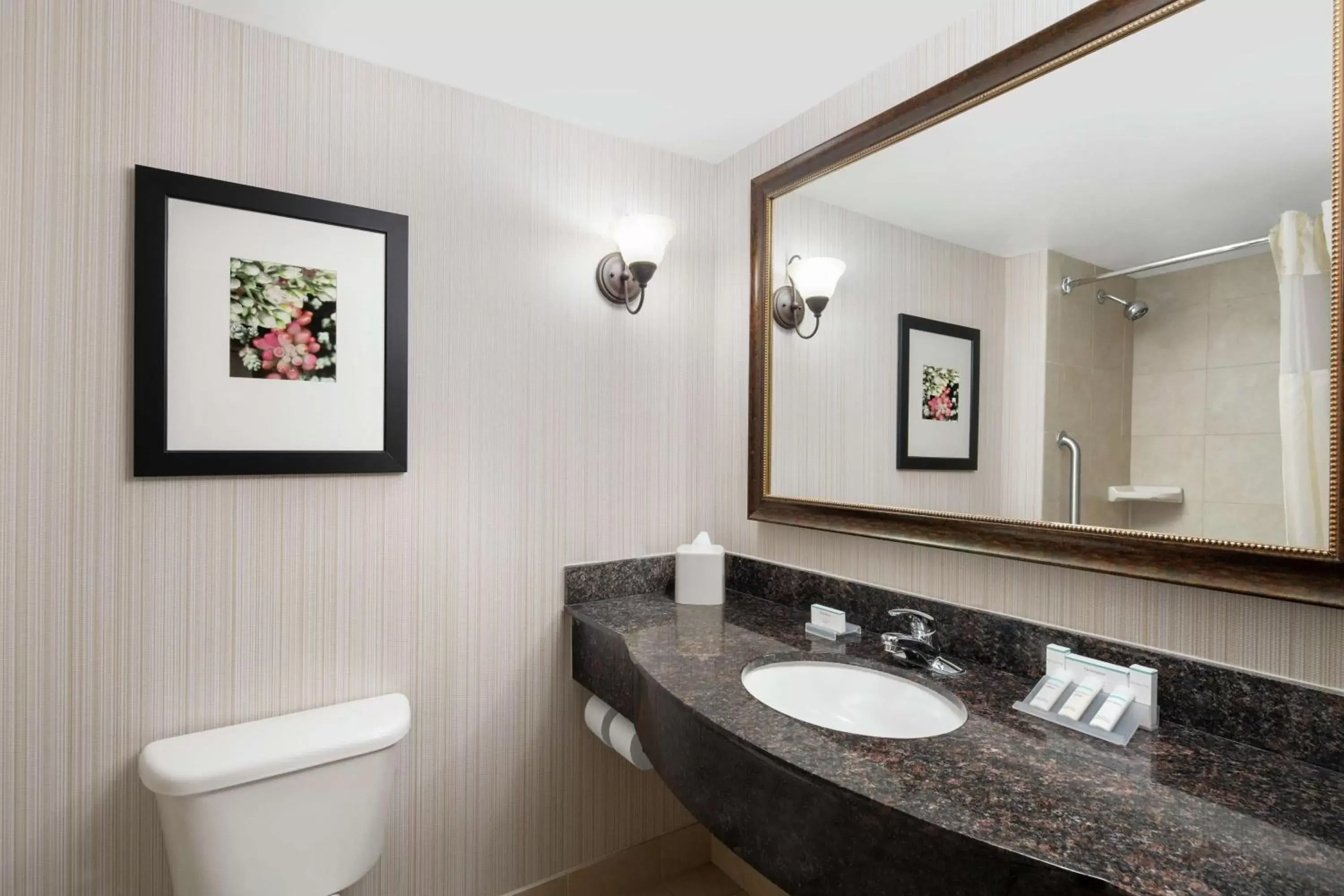 Bathroom in Hilton Garden Inn Denver Highlands Ranch