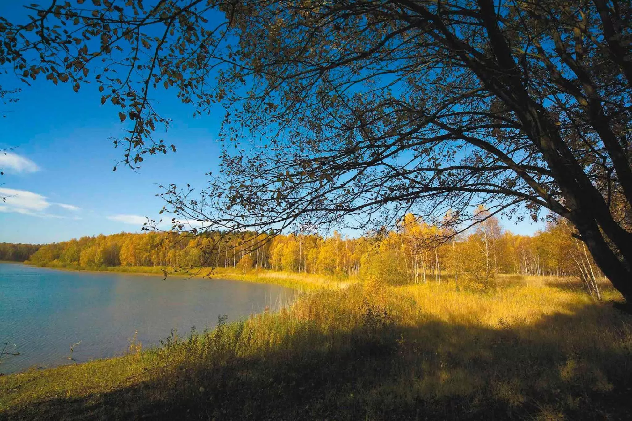 Activities in Lindenhof Hotel Tepe