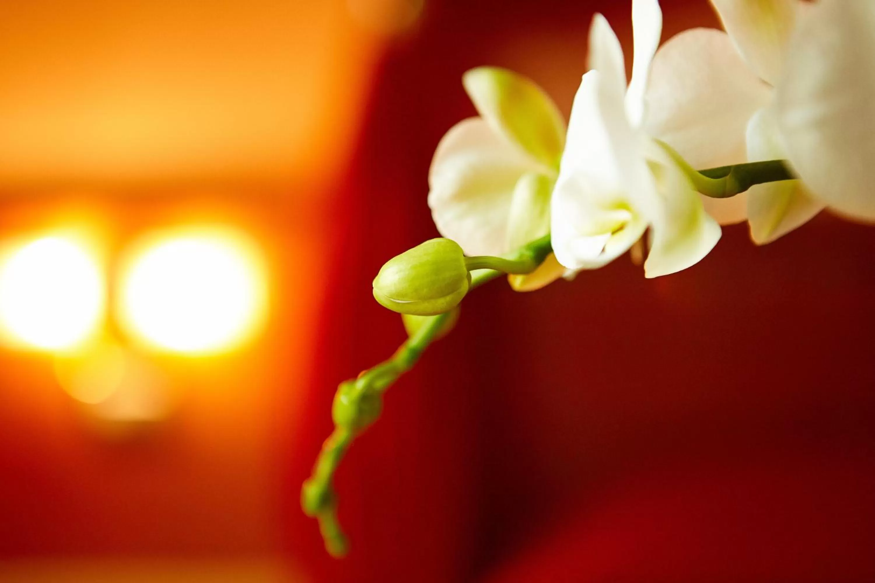 Decorative detail in Primhotel