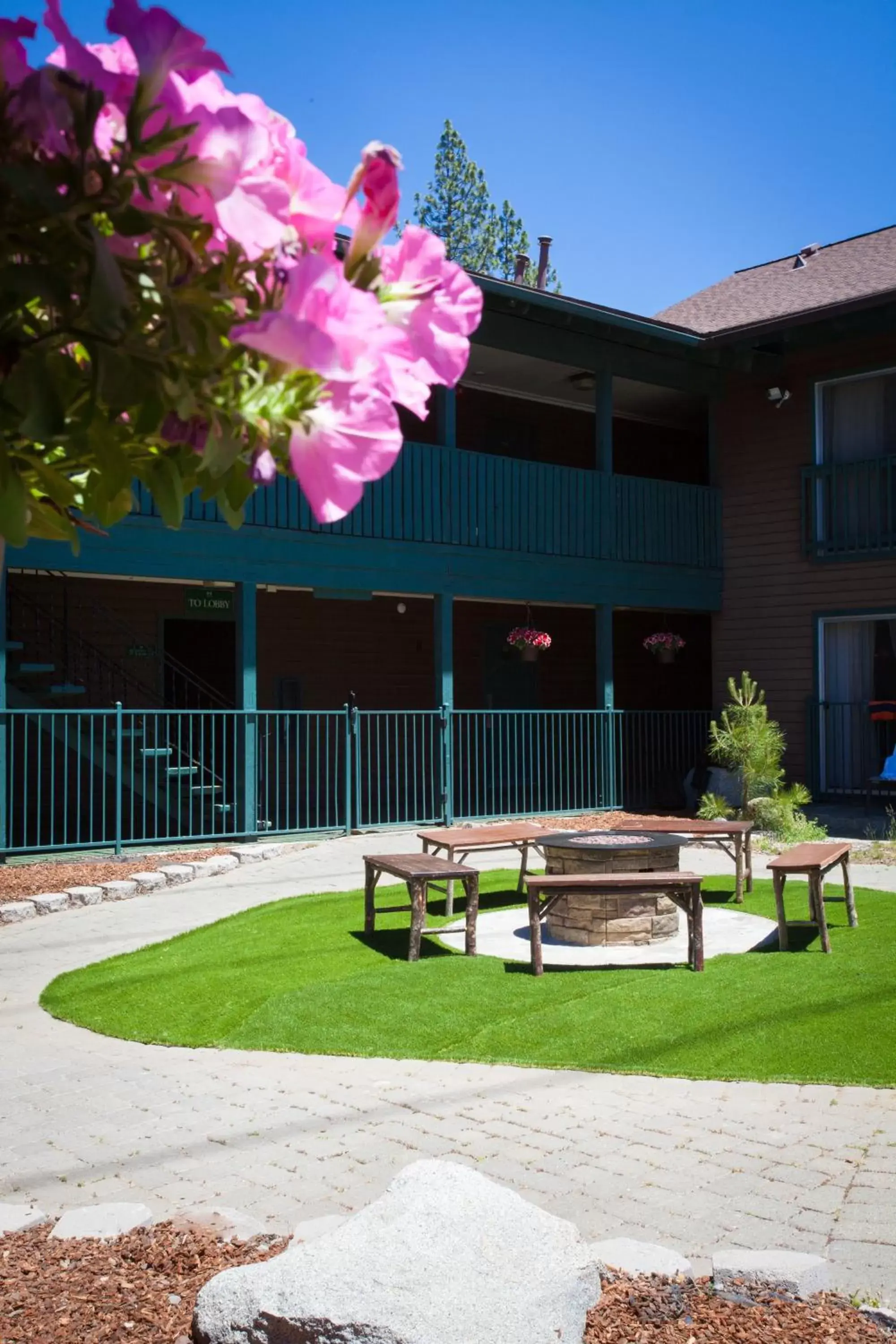 Area and facilities, Patio/Outdoor Area in Forest Suites Resort at the Heavenly Village