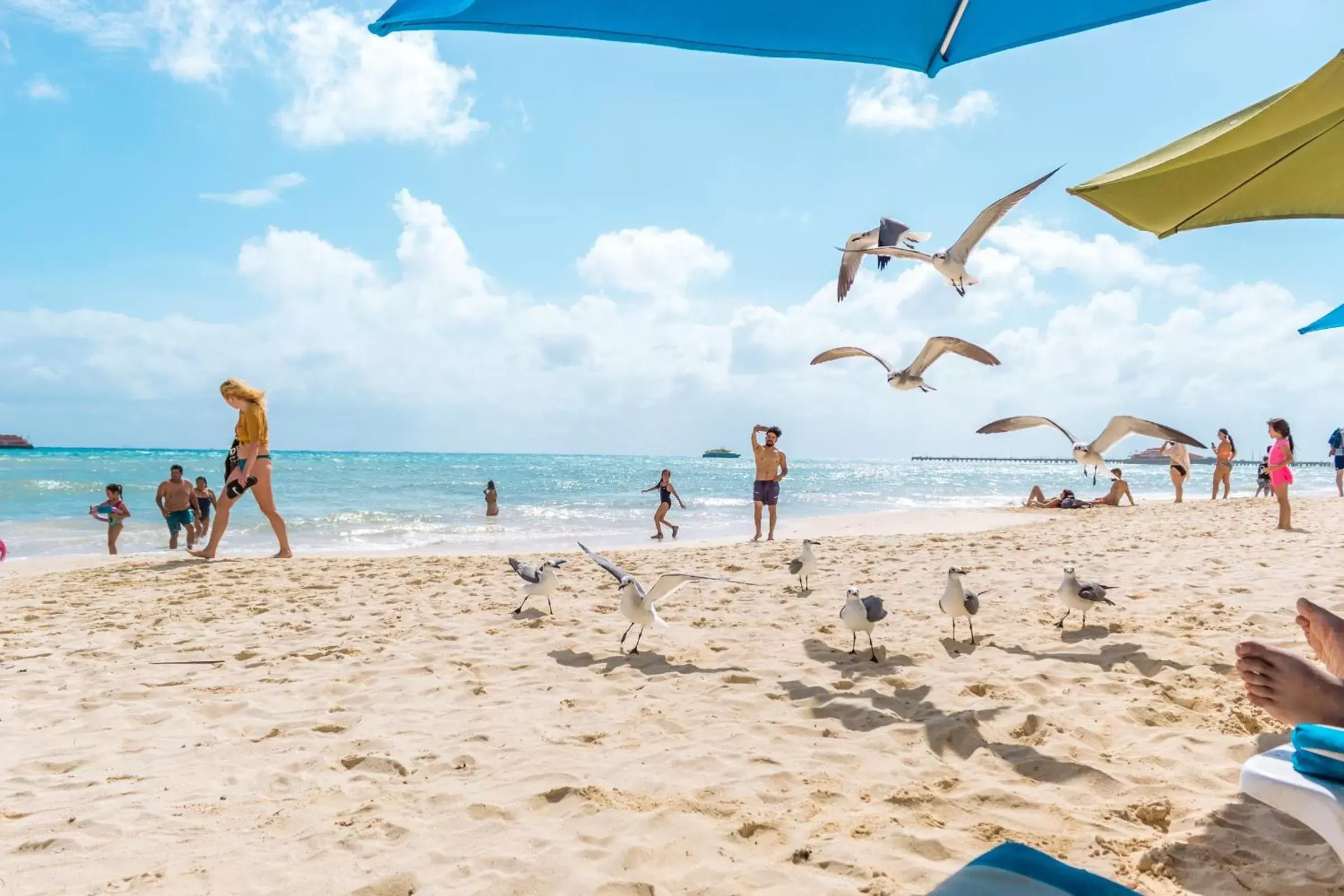 People, Beach in Playa Maya by MIJ - Beachfront Hotel