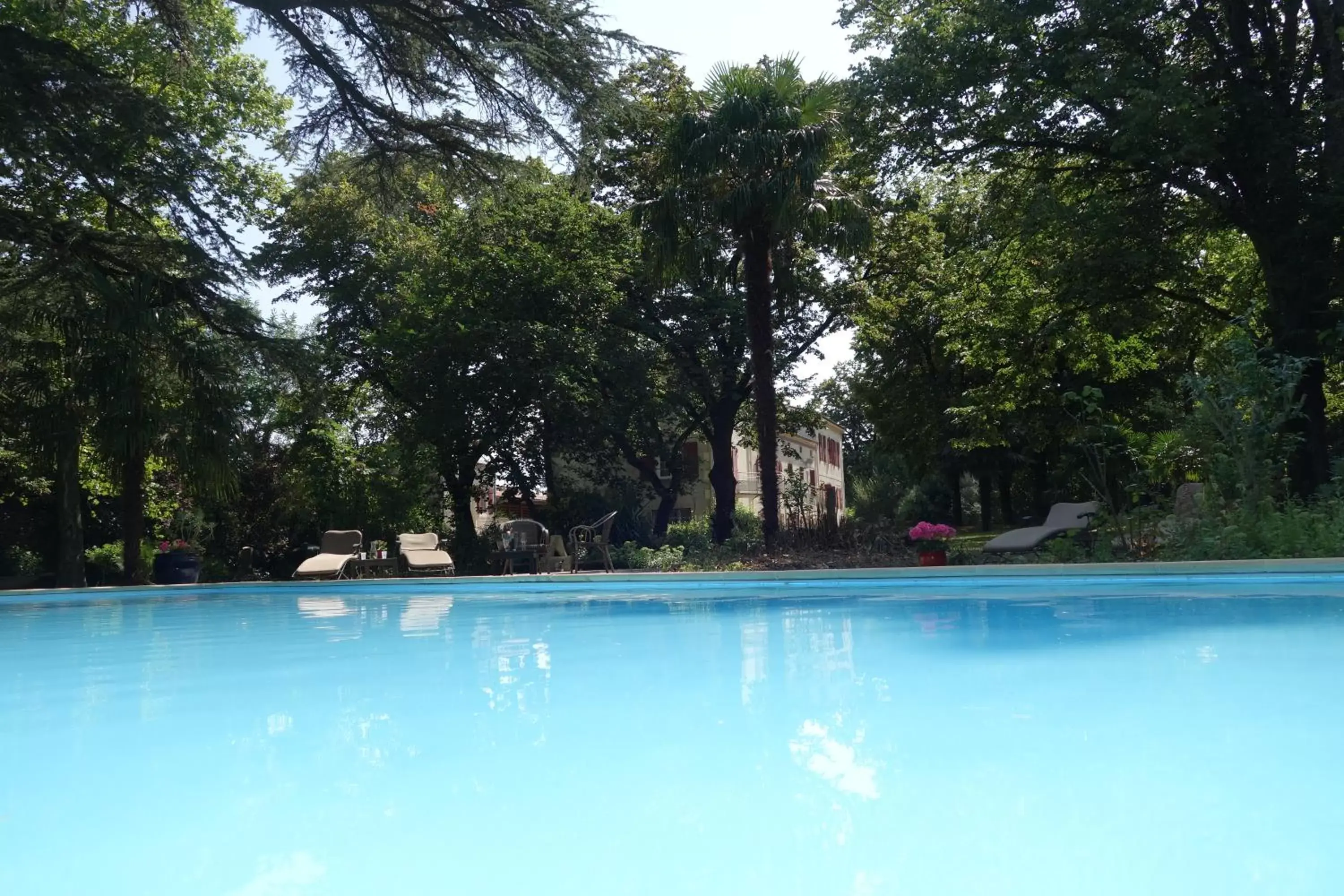 Garden, Swimming Pool in Domaine de Rasigous