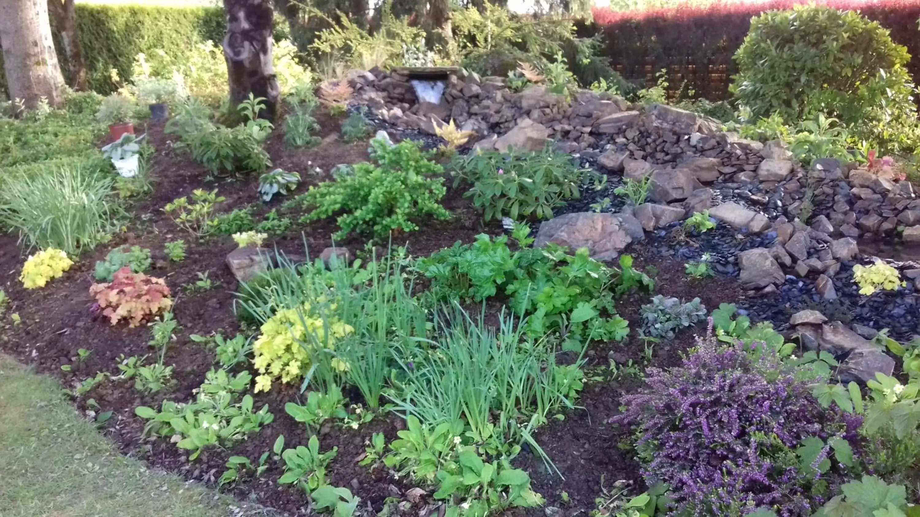 Garden in Chambres d'Hôtes Le Mûrier