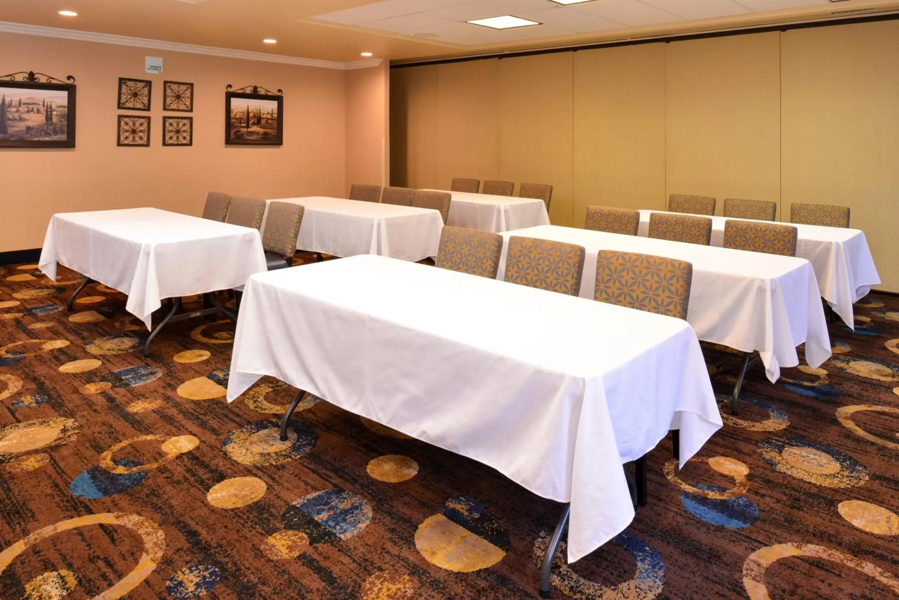 Meeting/conference room in Holiday Inn Express Lathrop - South Stockton, an IHG Hotel