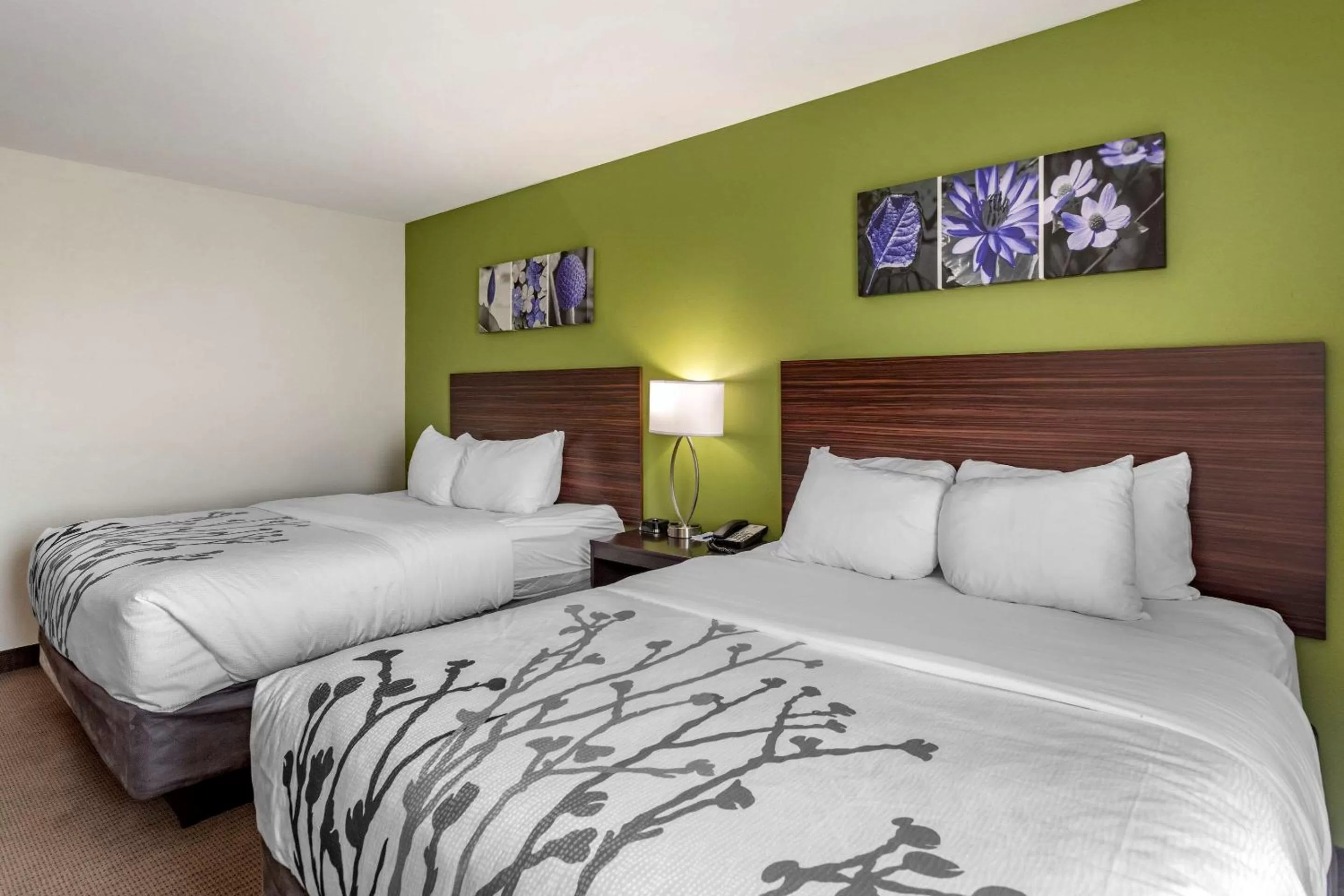 Bedroom, Bed in Sleep Inn Bowling Green North