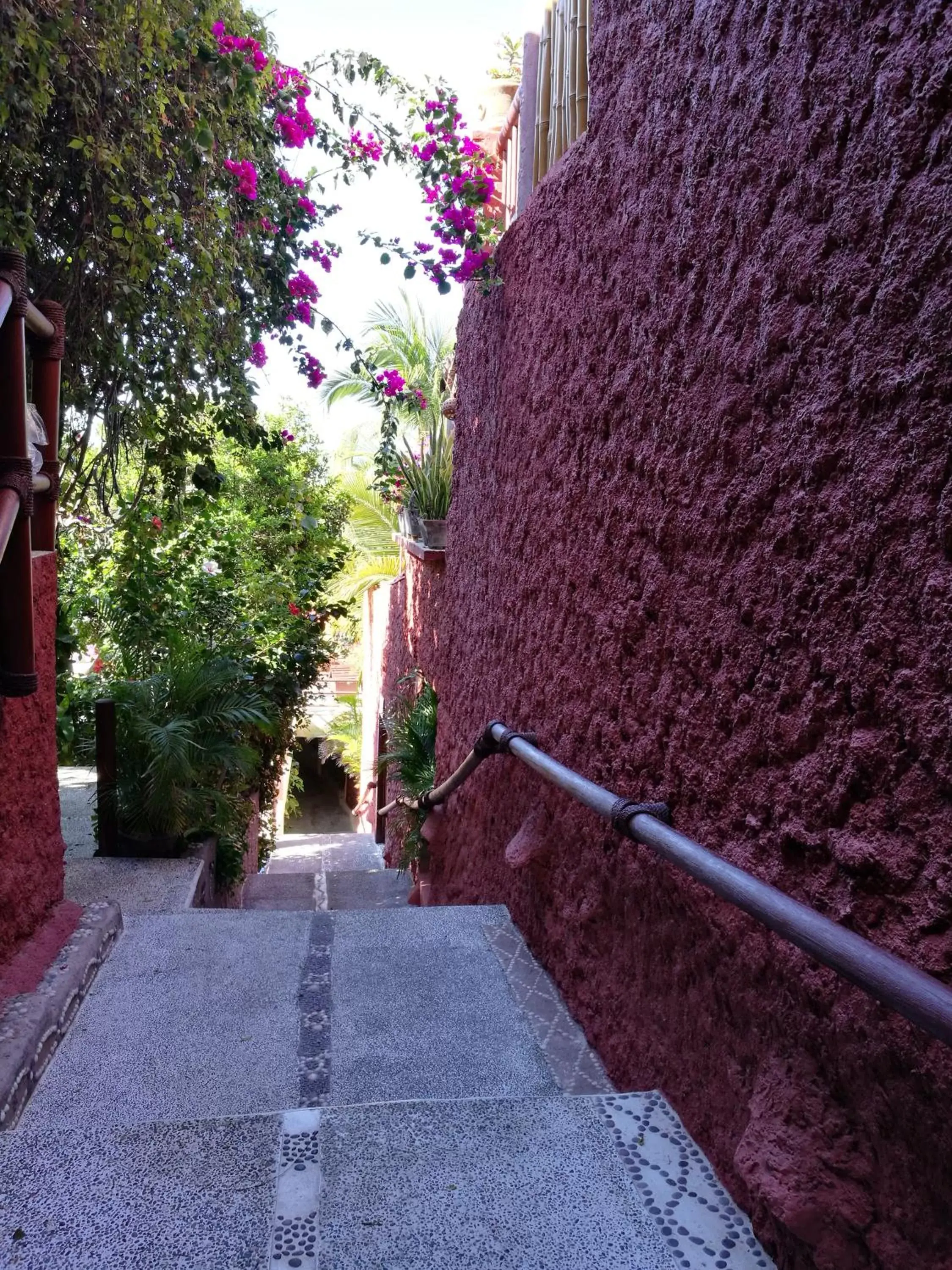 Garden in Hotel Aura del Mar