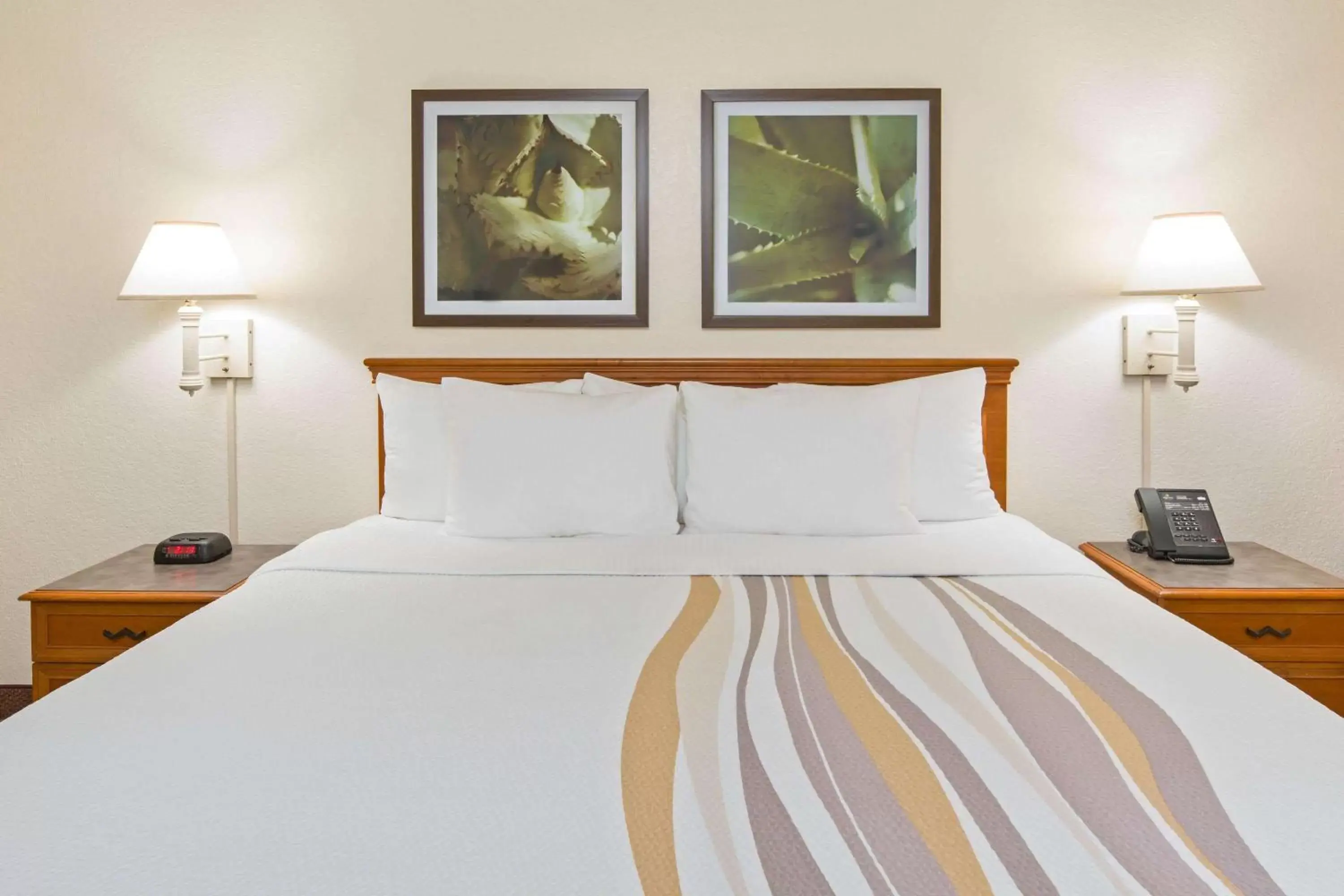 Photo of the whole room, Bed in La Quinta Inn by Wyndham San Diego - Miramar