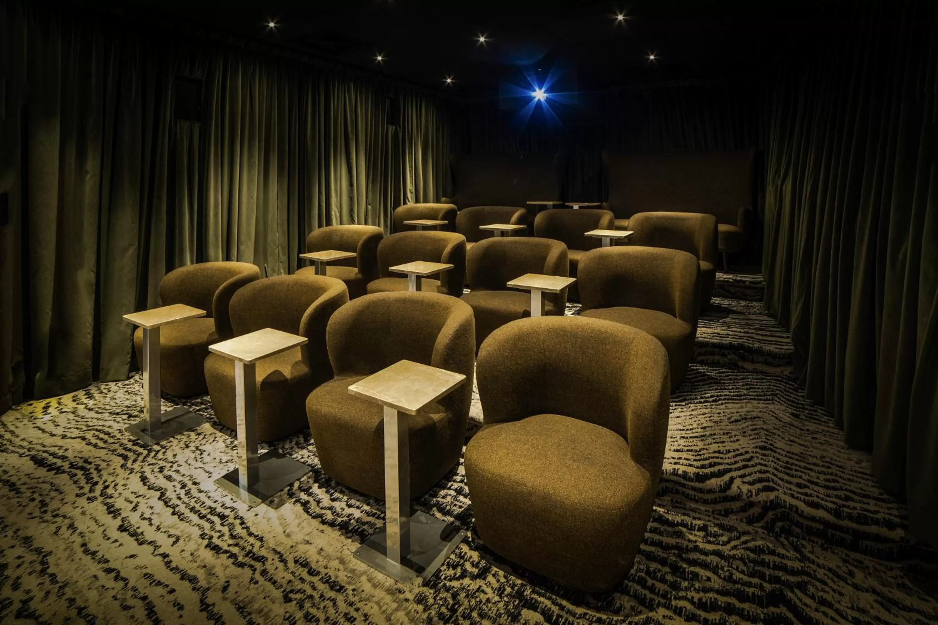 Entertainment in Pullman Paris Centre - Bercy