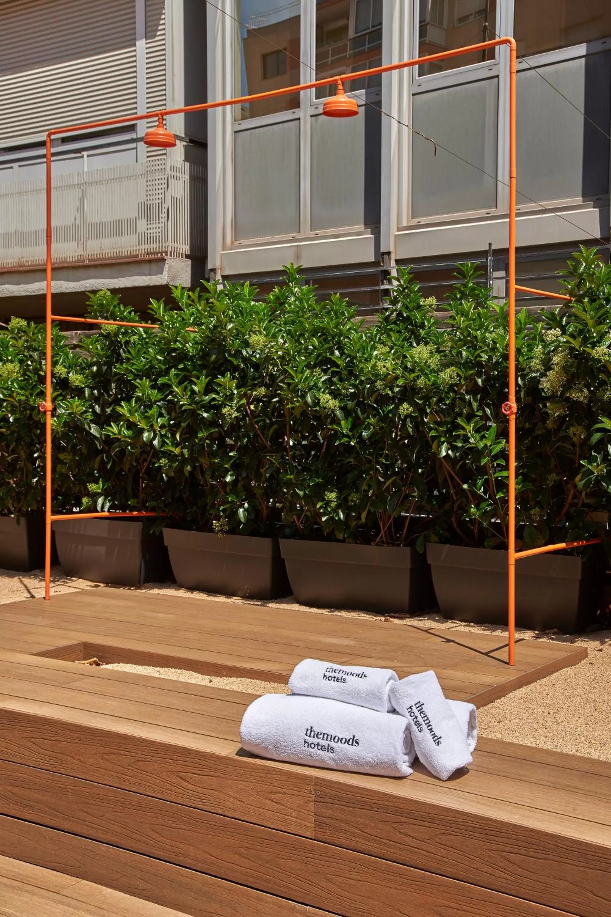 Shower in The Moods Oasis