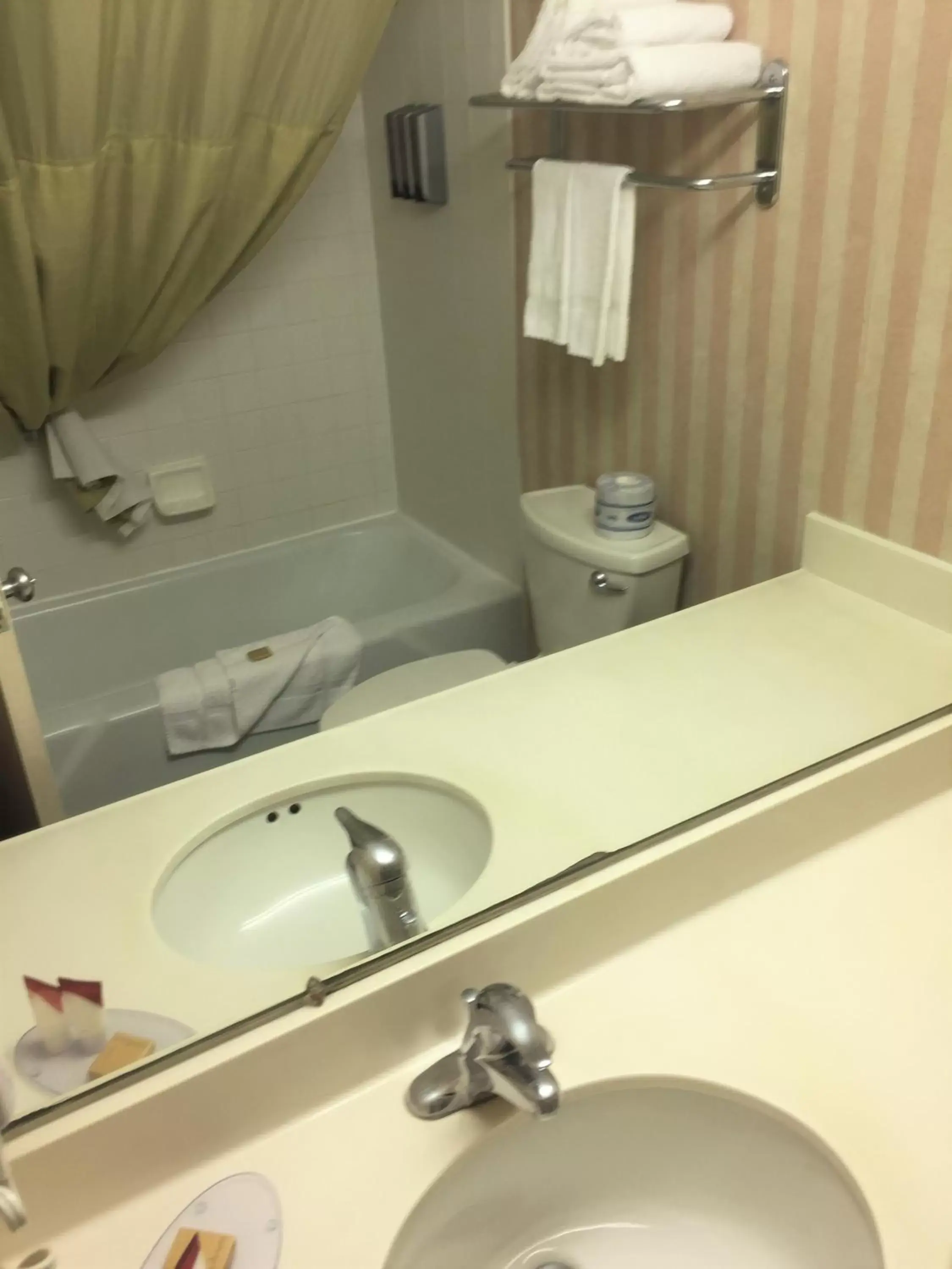 Shower, Bathroom in Americas Best Value Inn & Suites-Boise