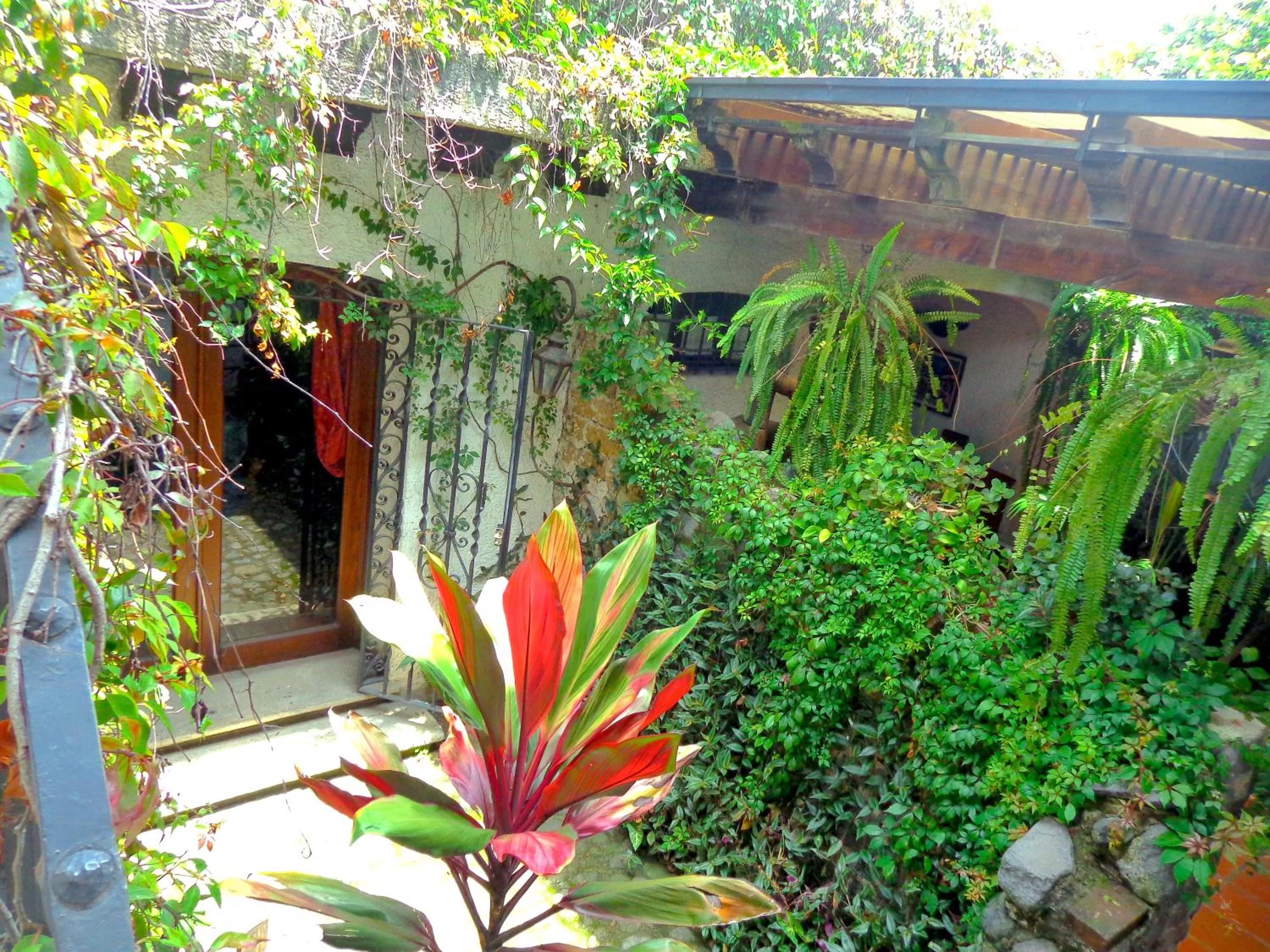 Cissus Hotel Boutique