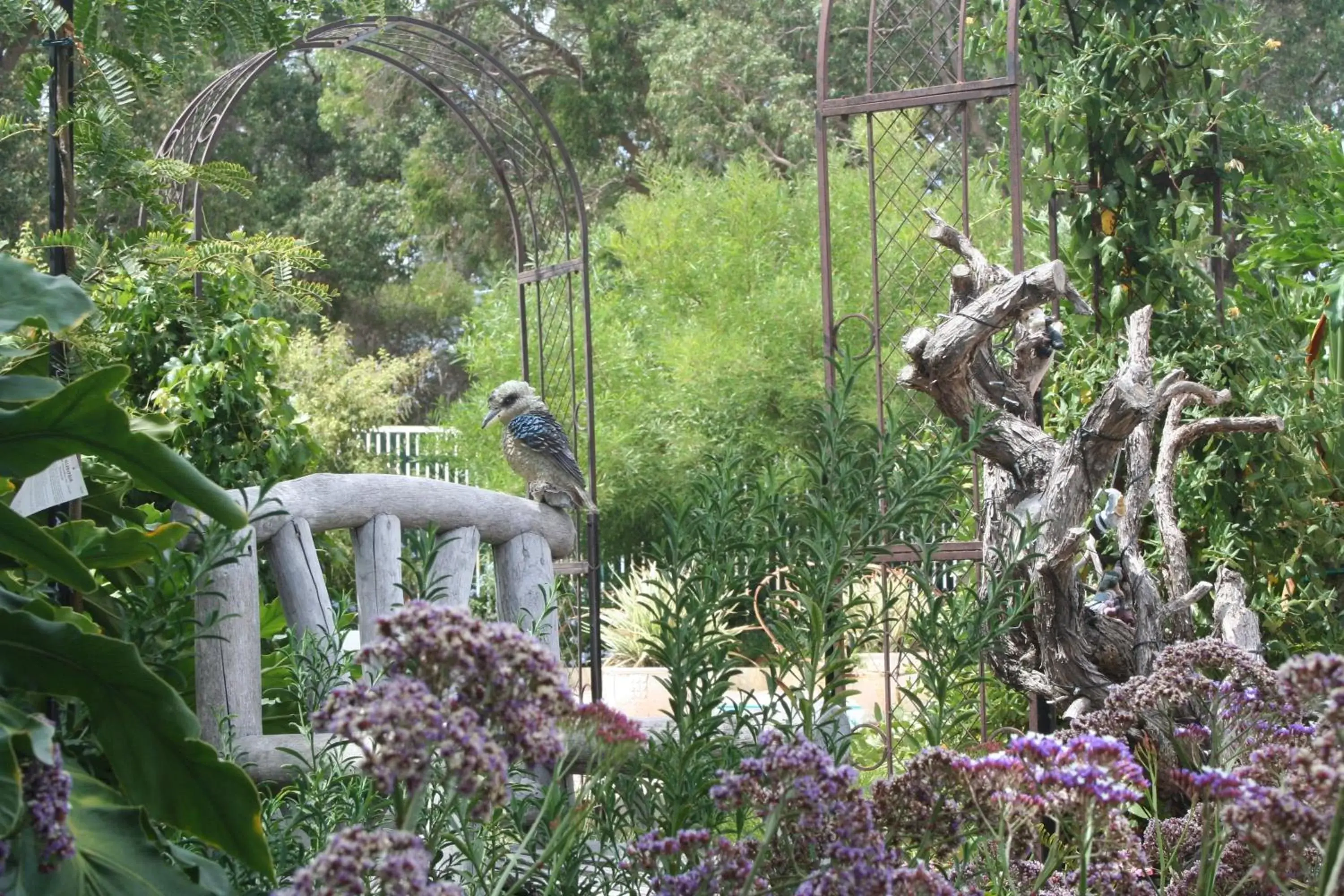 Garden in Rosebridge House Bed & Breakfast Adult Retreat Garden in Rosebridge House Bed & Breakfast Adult Retreat