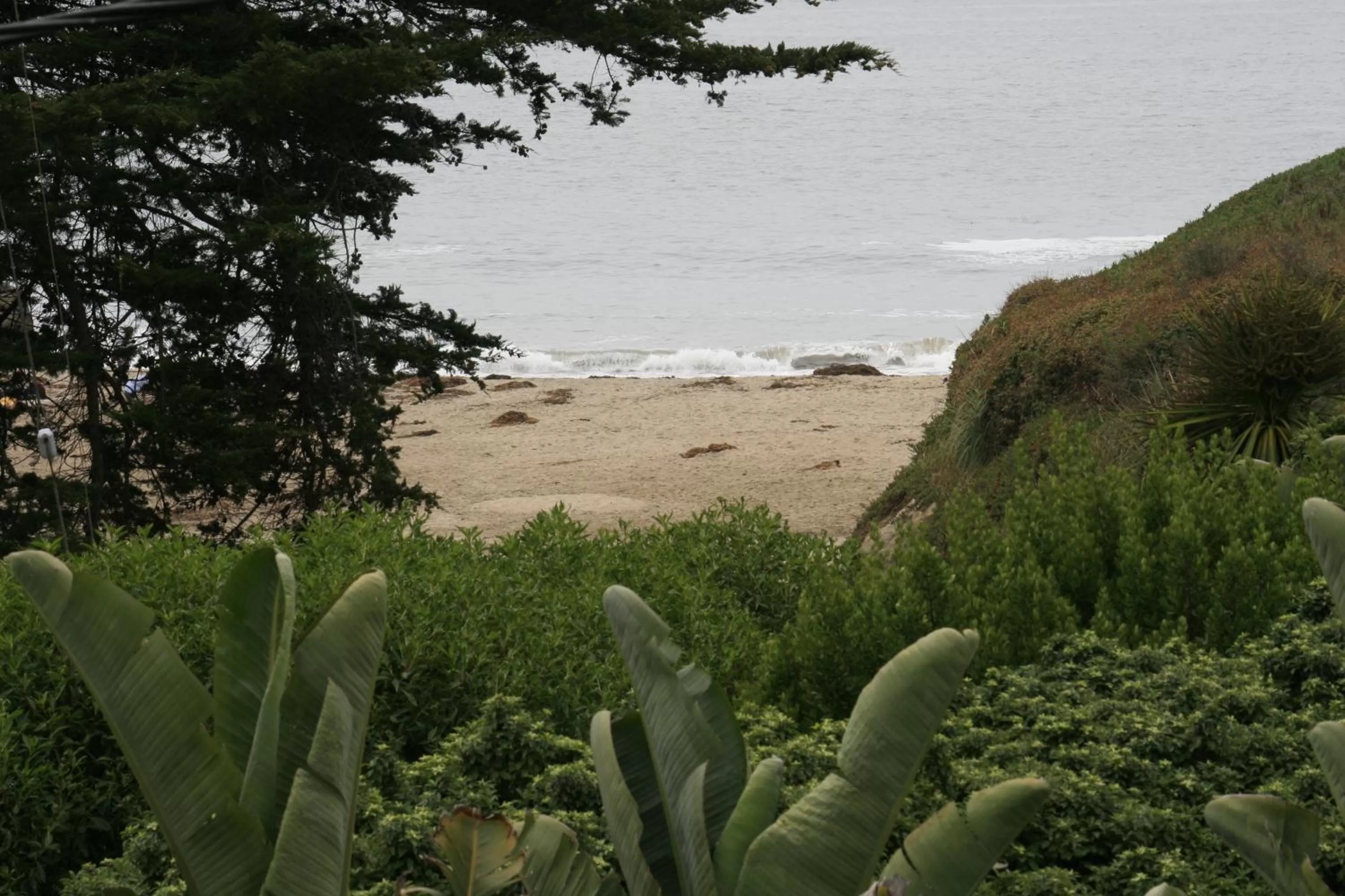 Beach in Ocean Echo Inn & Beach Cottages