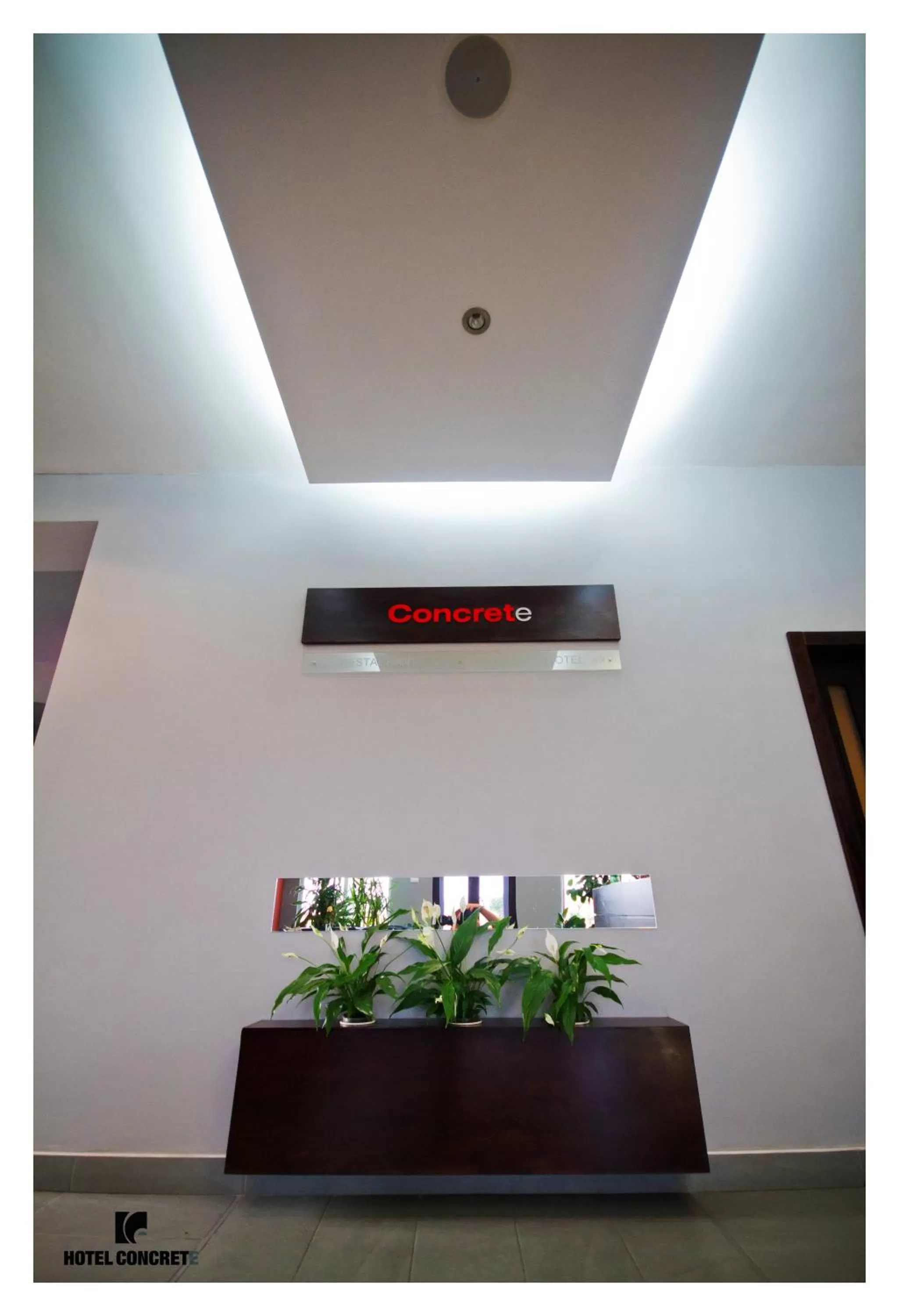 Lobby or reception in Hotel Concrete