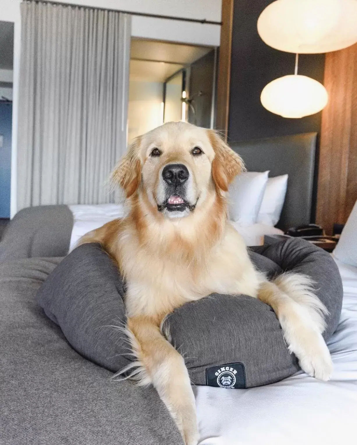 Headlands Coastal Lodge & Spa Headlands Coastal Lodge & Spa