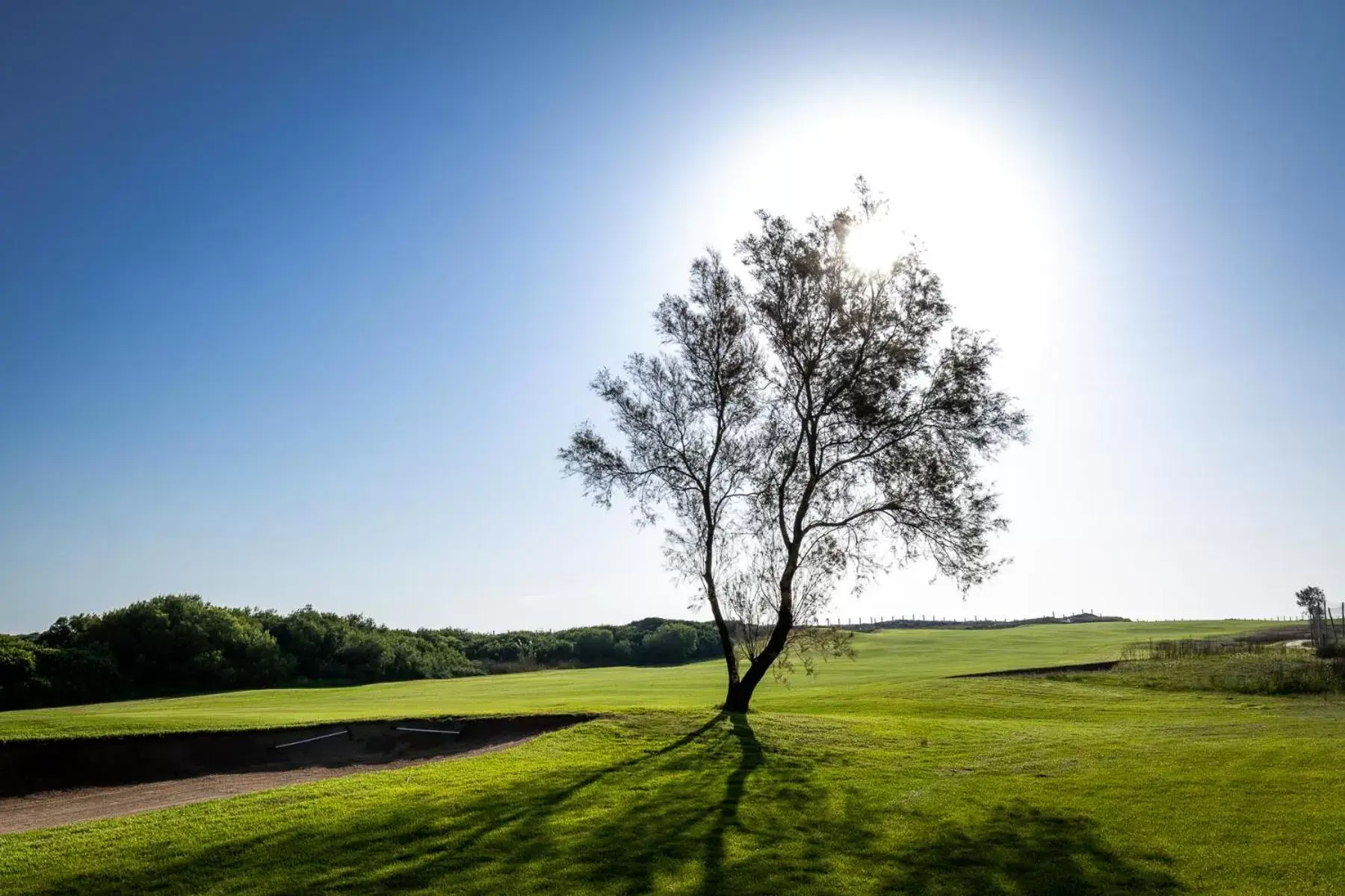 Natural landscape in Parador de El Saler