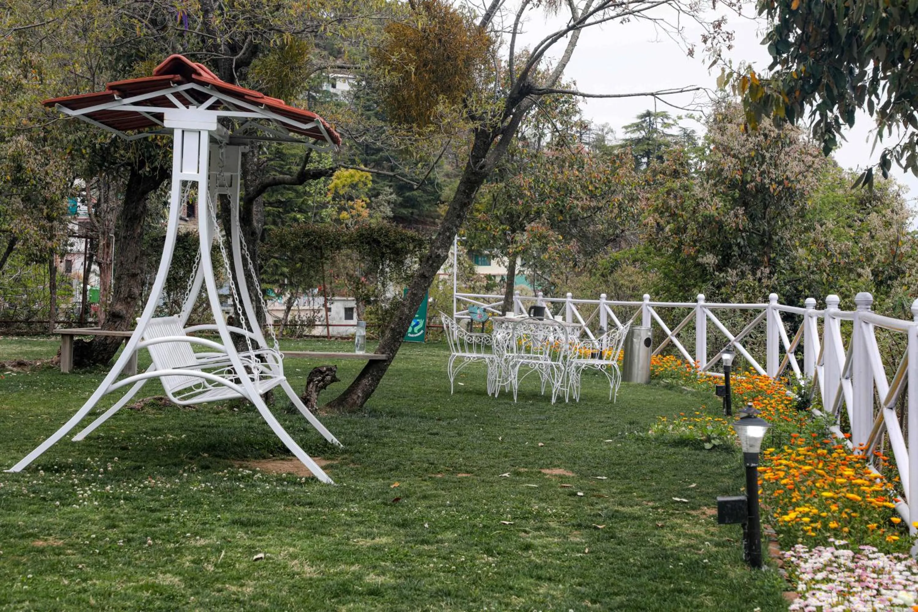 Spring in The Mountain Quail