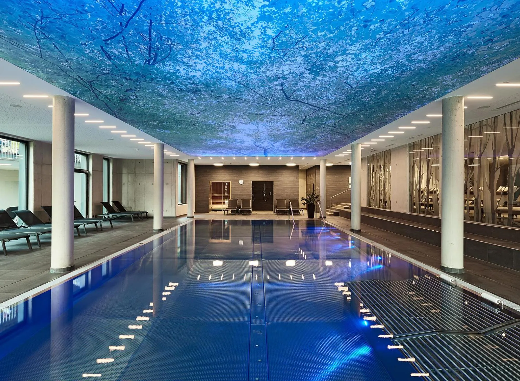 Area and facilities in Hotel Der Waldhof