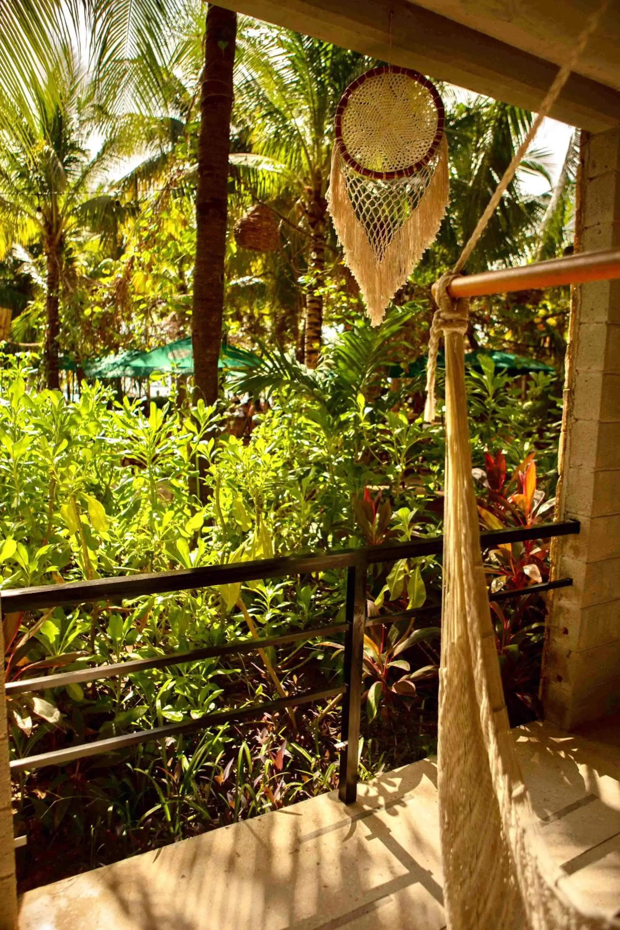 Garden, Balcony/Terrace in Nomads Hotel, Hostel & Beachclub