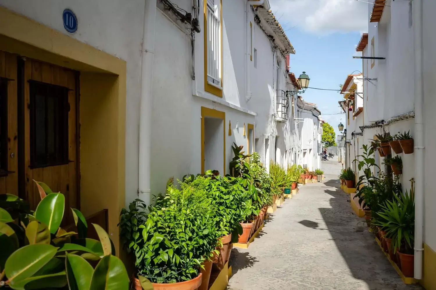 Neighbourhood in Hotel D. Luis - Elvas