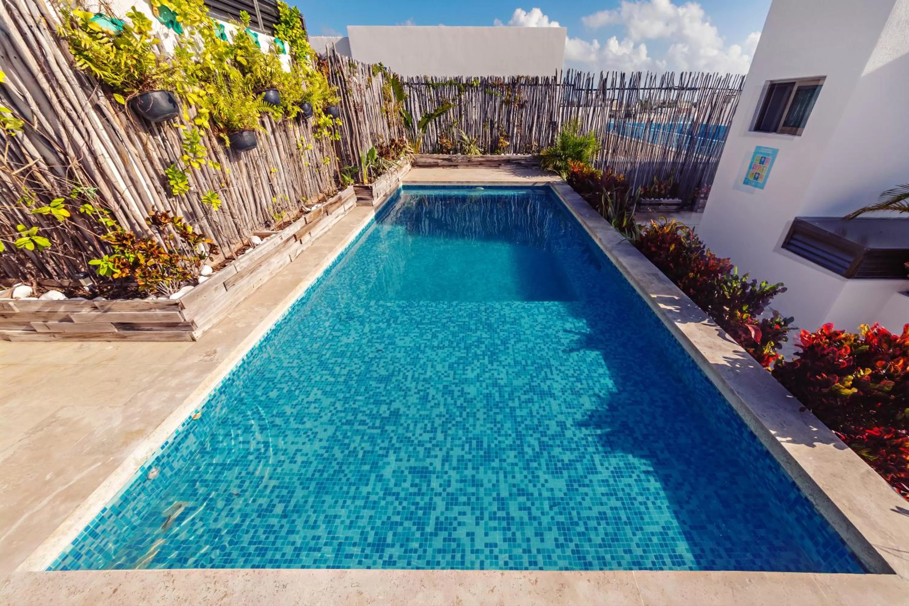 Swimming pool in Mararena Family Apartments & Long Stay Living - Steps from 5th Avenue