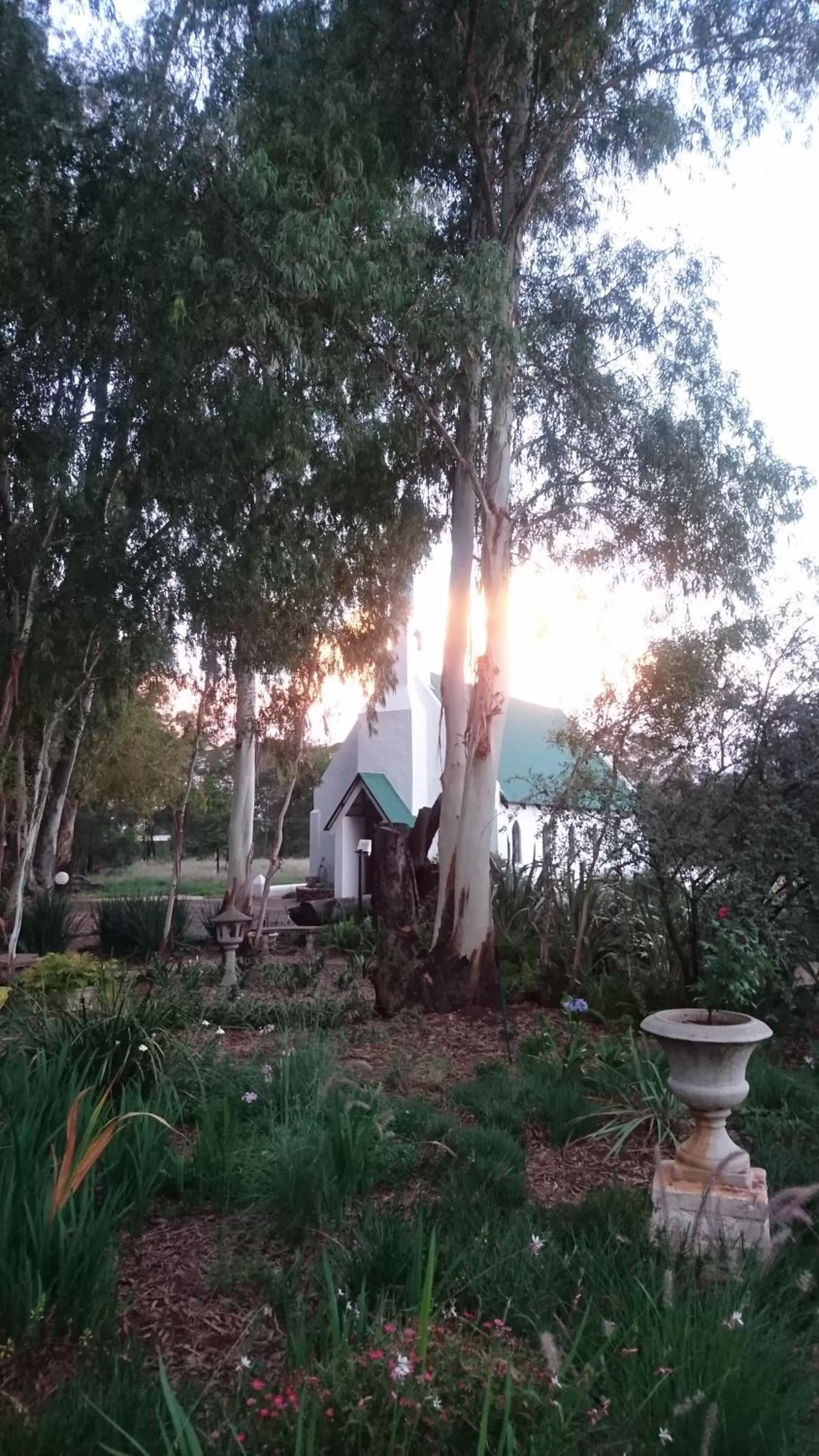 Garden in The Highveld Cape Inn