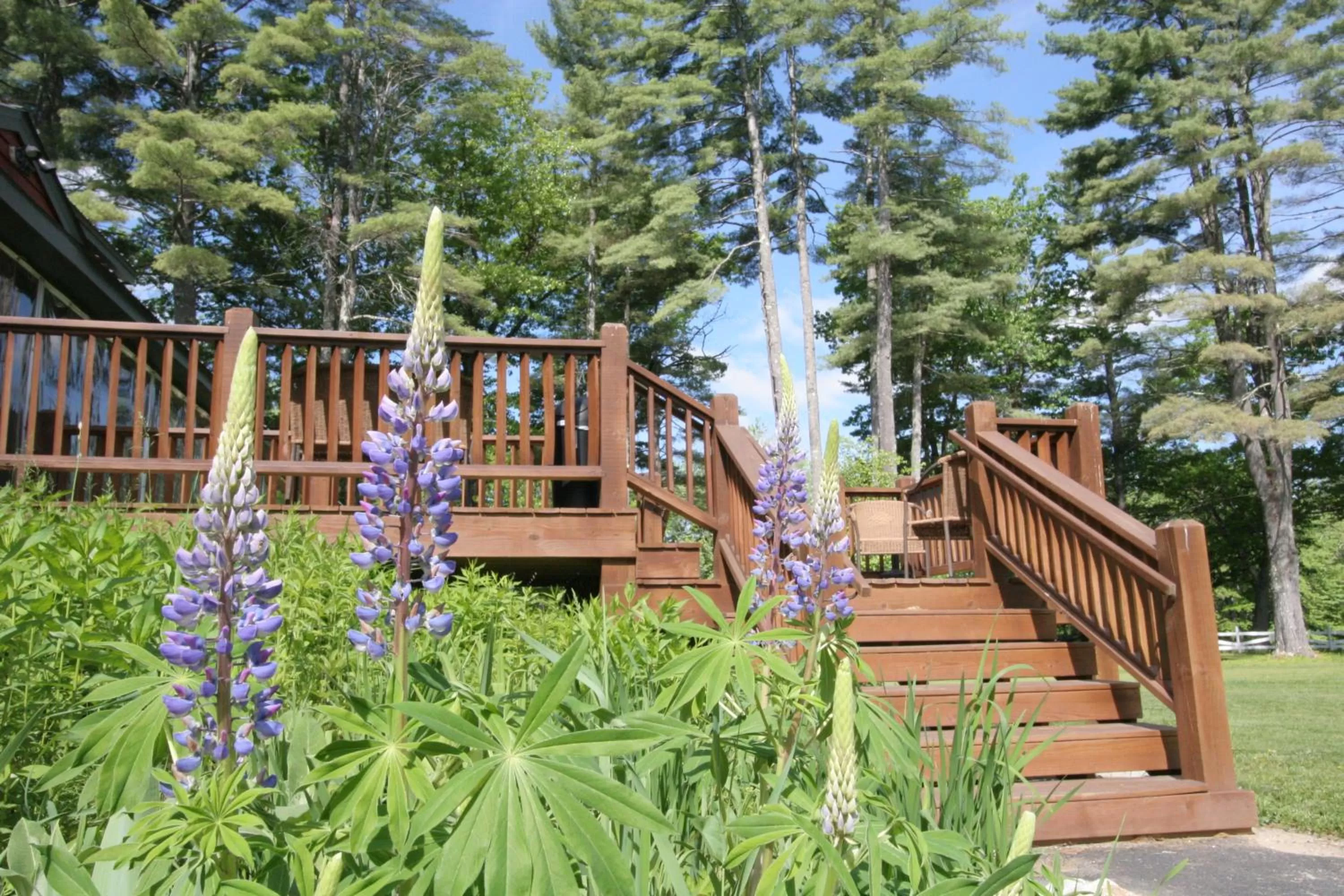 Garden in Old Saco Inn