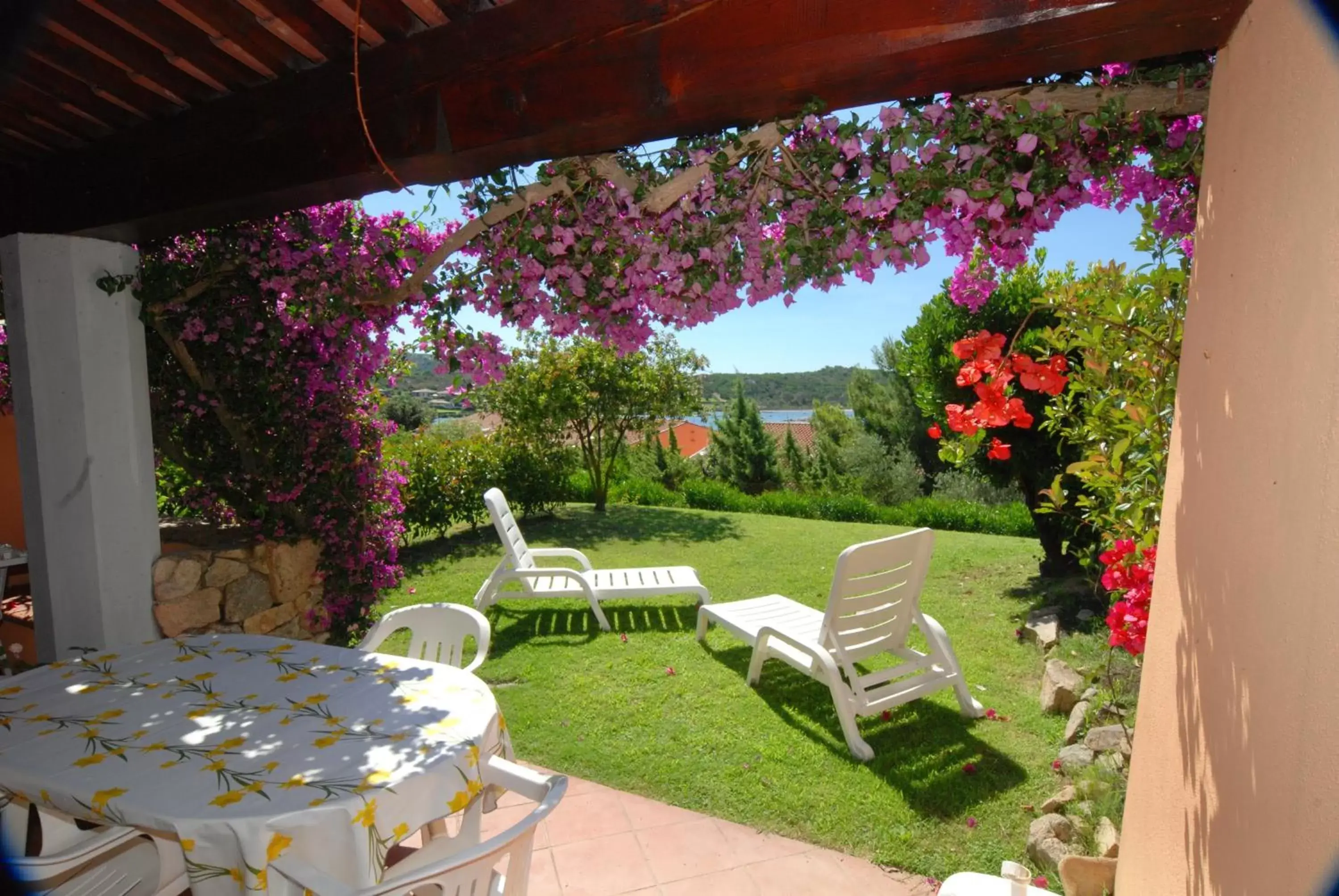 Patio in Porto Coda Cavallo Salina Bamba