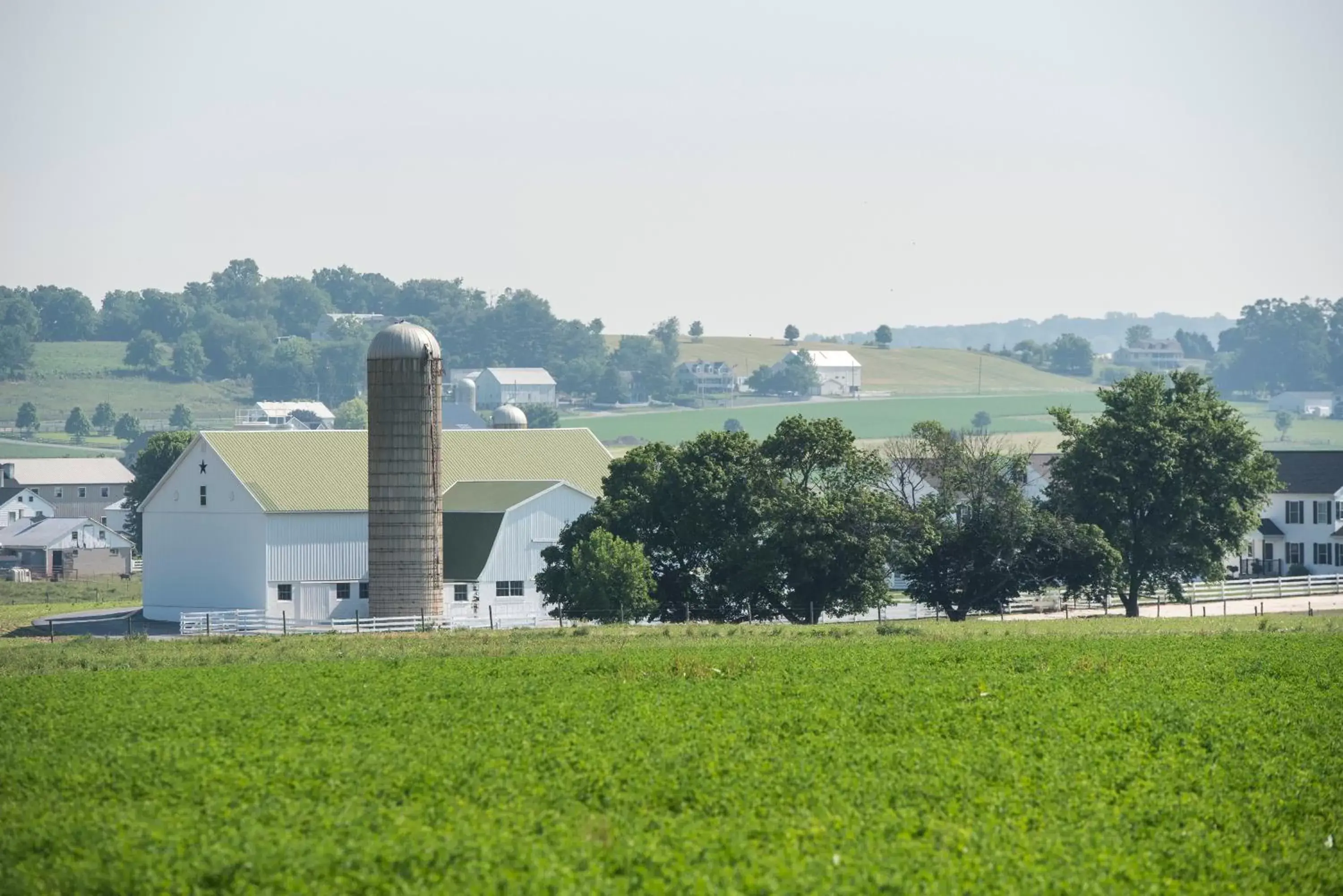 View (from property/room) in Travelers Rest Motel View (from property/room) in Travelers Rest Motel