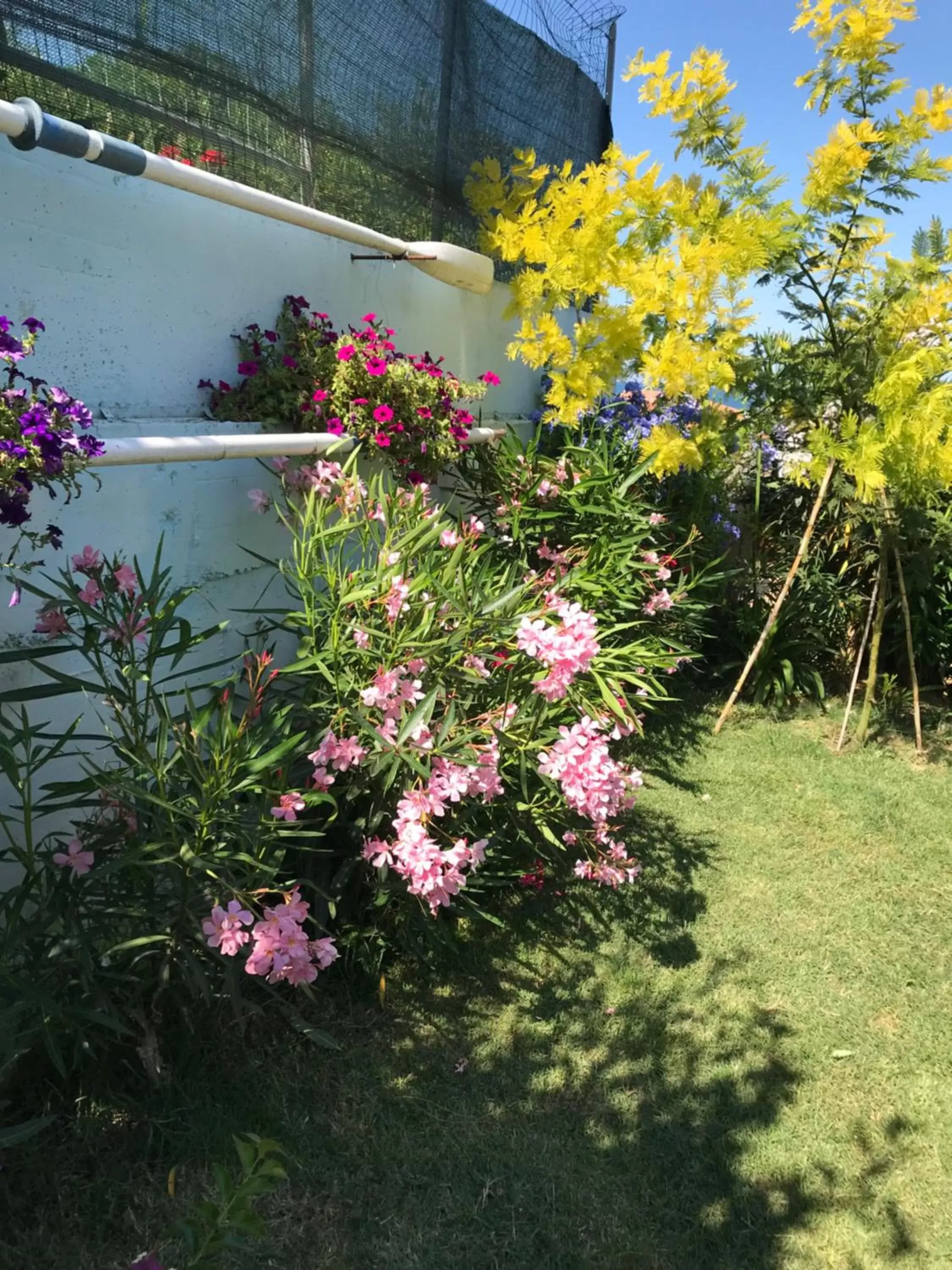 Natural landscape, Garden in Casa "La Conchiglia"