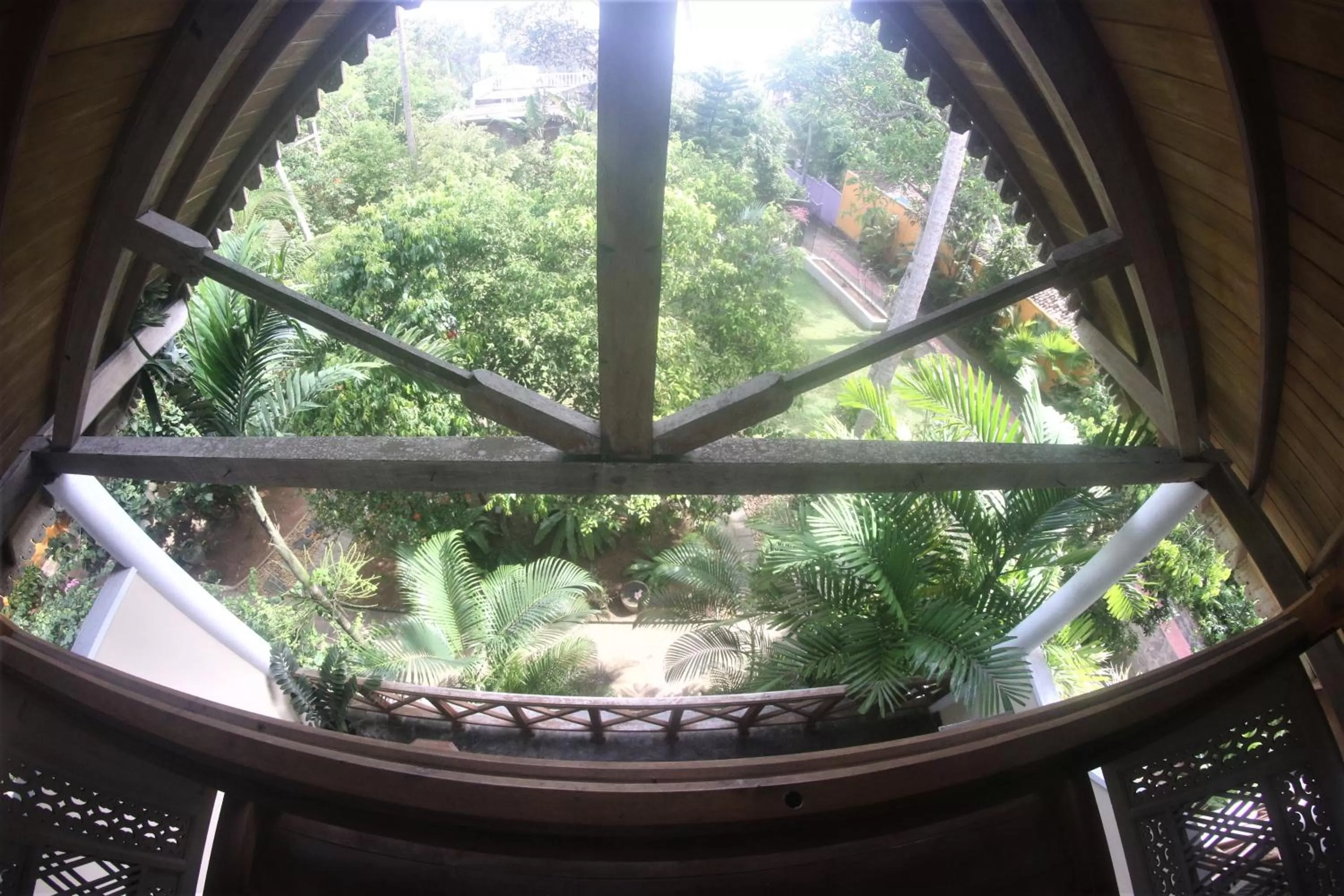 Garden view in The Spice House Mirissa