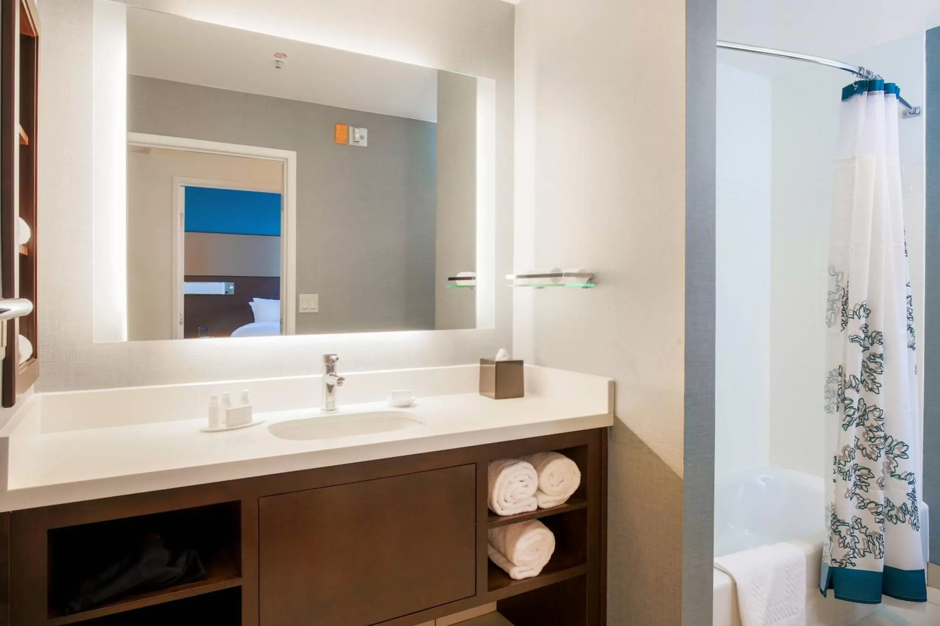 Bathroom in Residence Inn by Marriott San Jose Airport