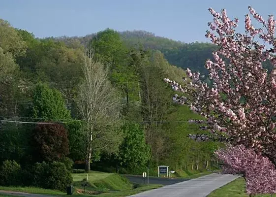 Natural landscape, Mountain View in Mountain Aire Cottages & Inn