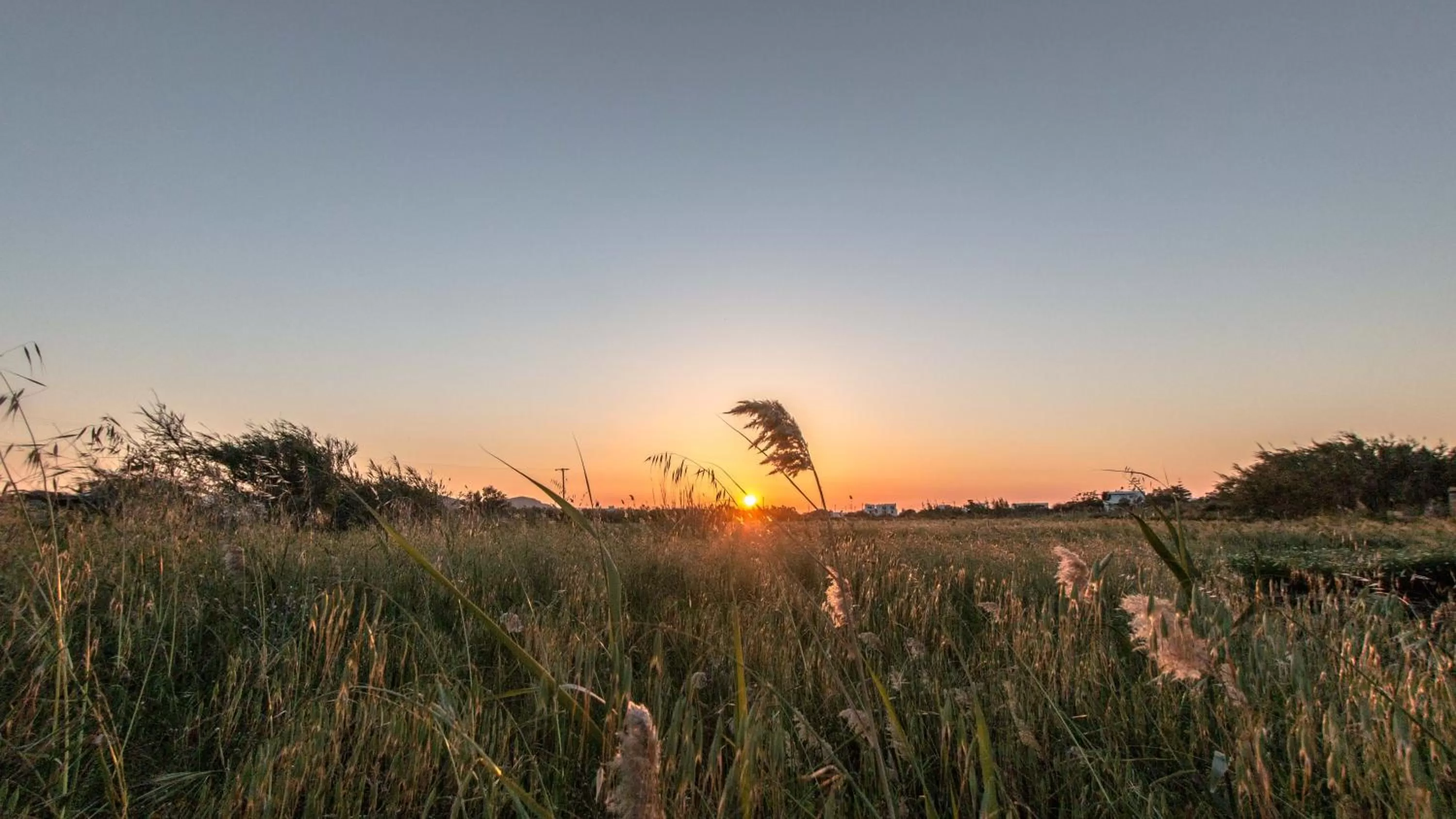 View (from property/room) in Ktima Bianco