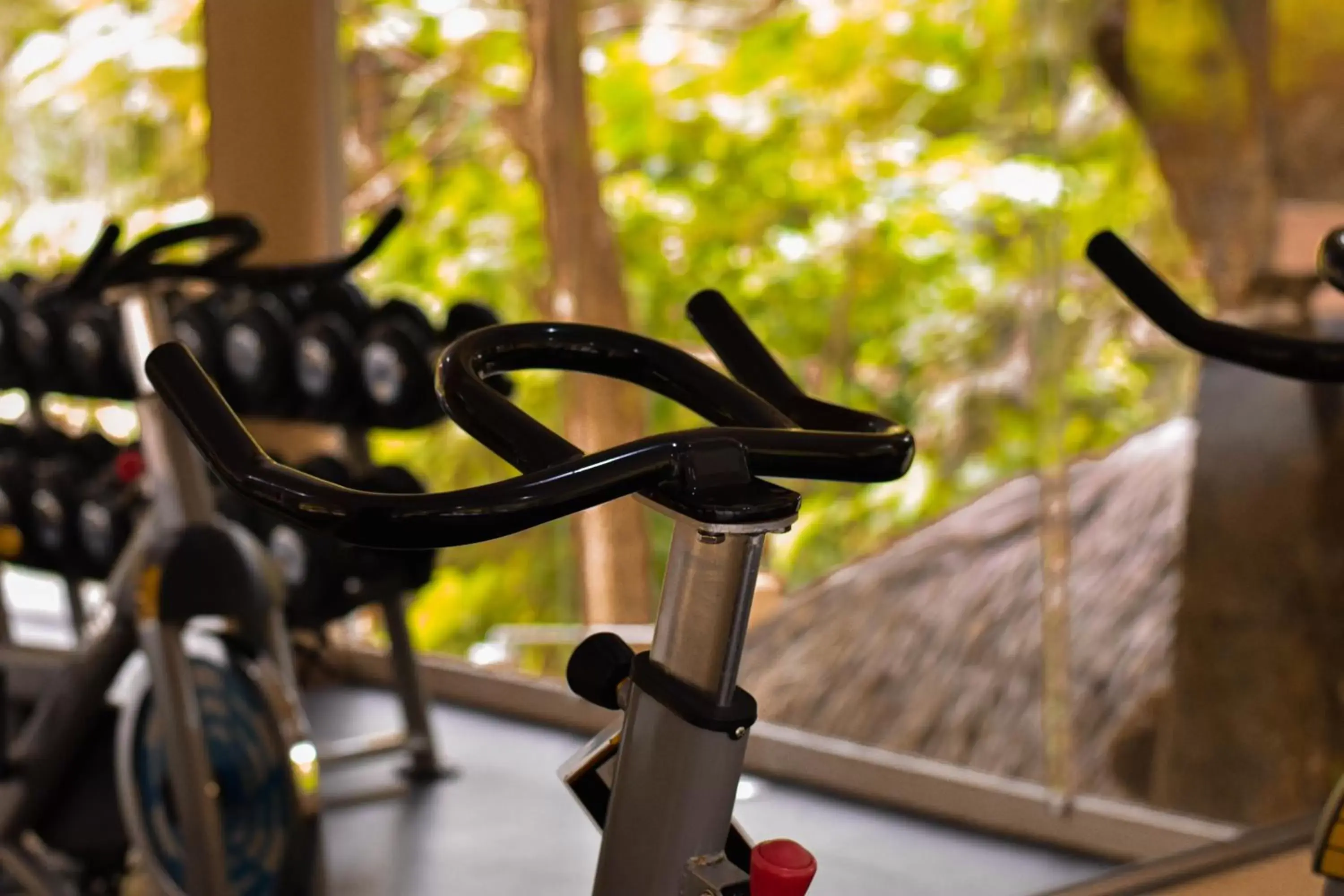 Fitness centre/facilities, Fitness Center/Facilities in Hotel Villa Mercedes Palenque