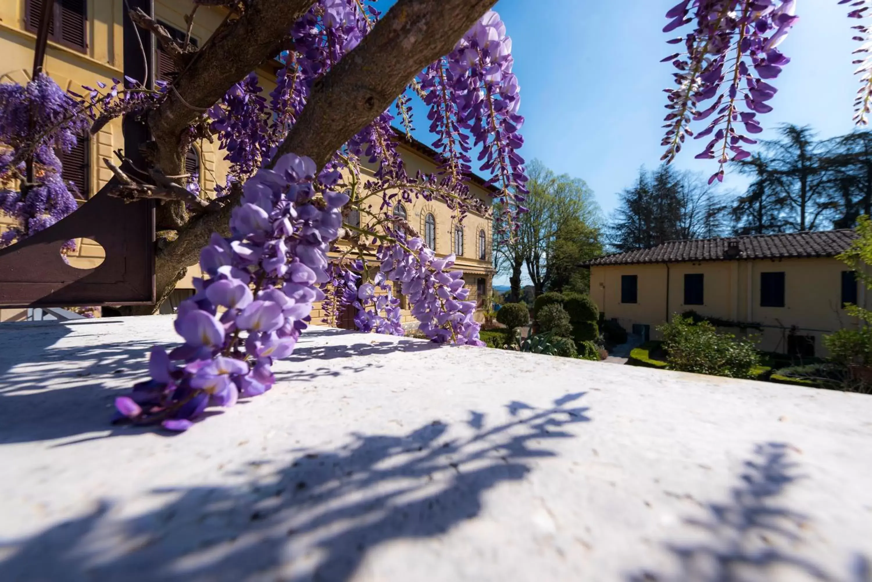 Garden, Property Building in Villa Scacciapensieri Boutique Hotel