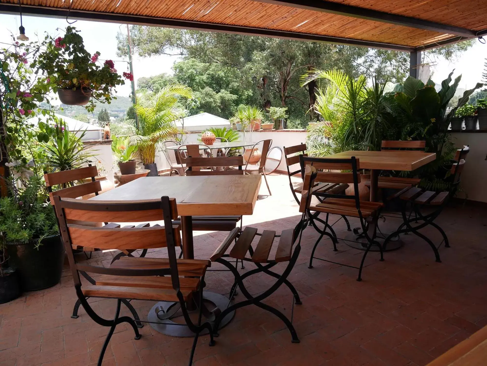 Patio, Restaurant/Places to Eat in Casa Grana Cochinilla