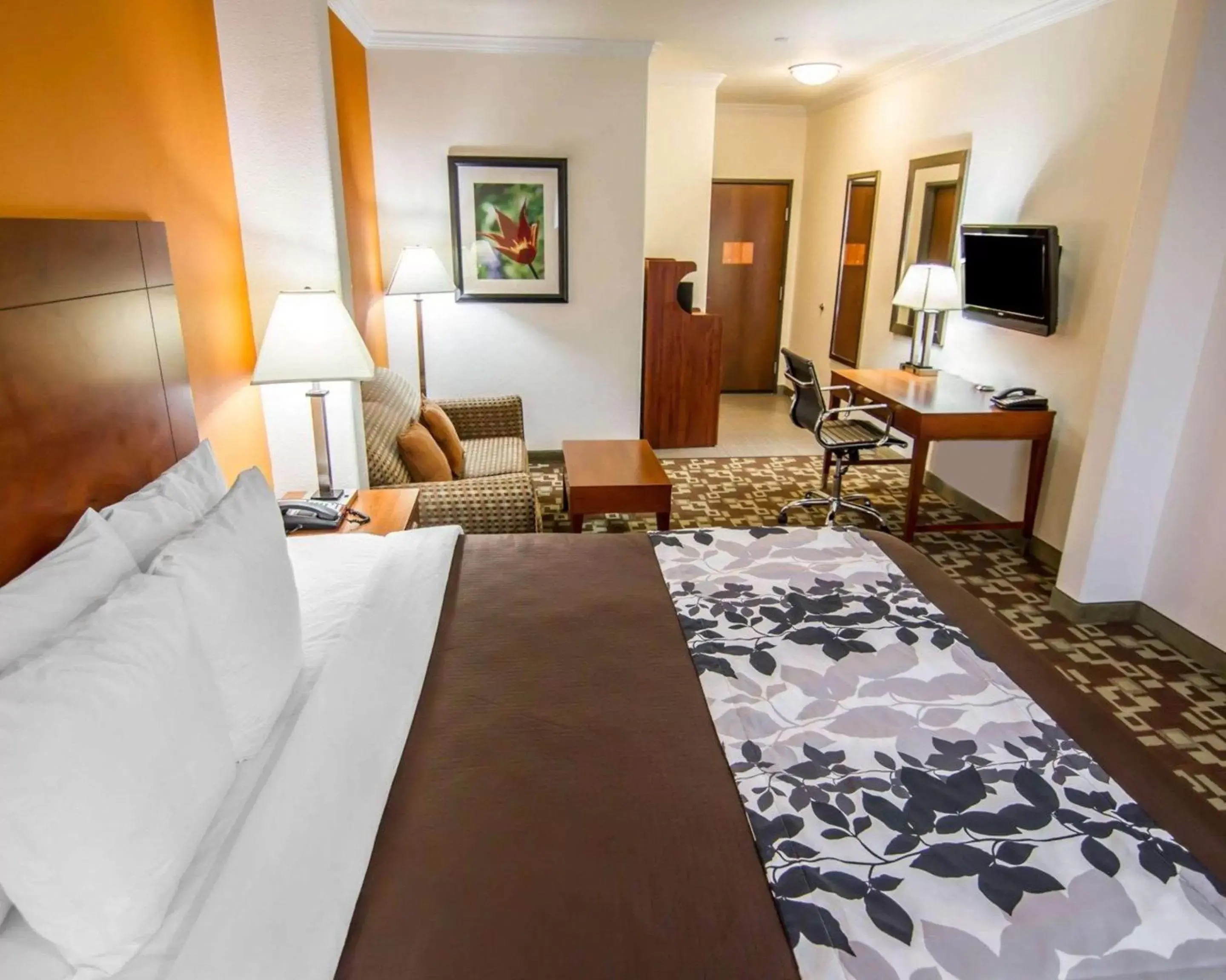 Photo of the whole room, Bed in Sleep Inn & Suites I-20