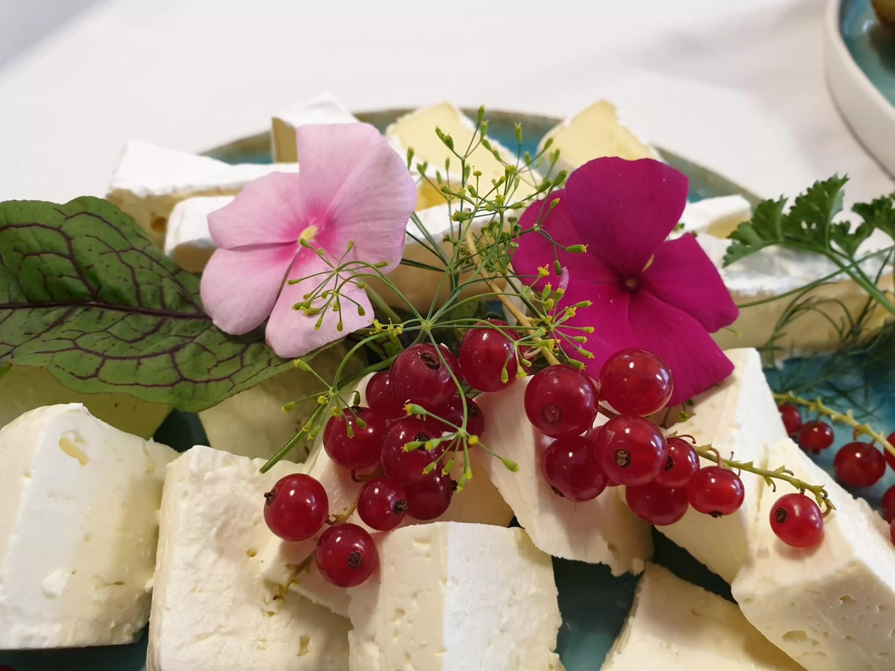 Food and drinks in Bed and Breakfast Mittelkärnten